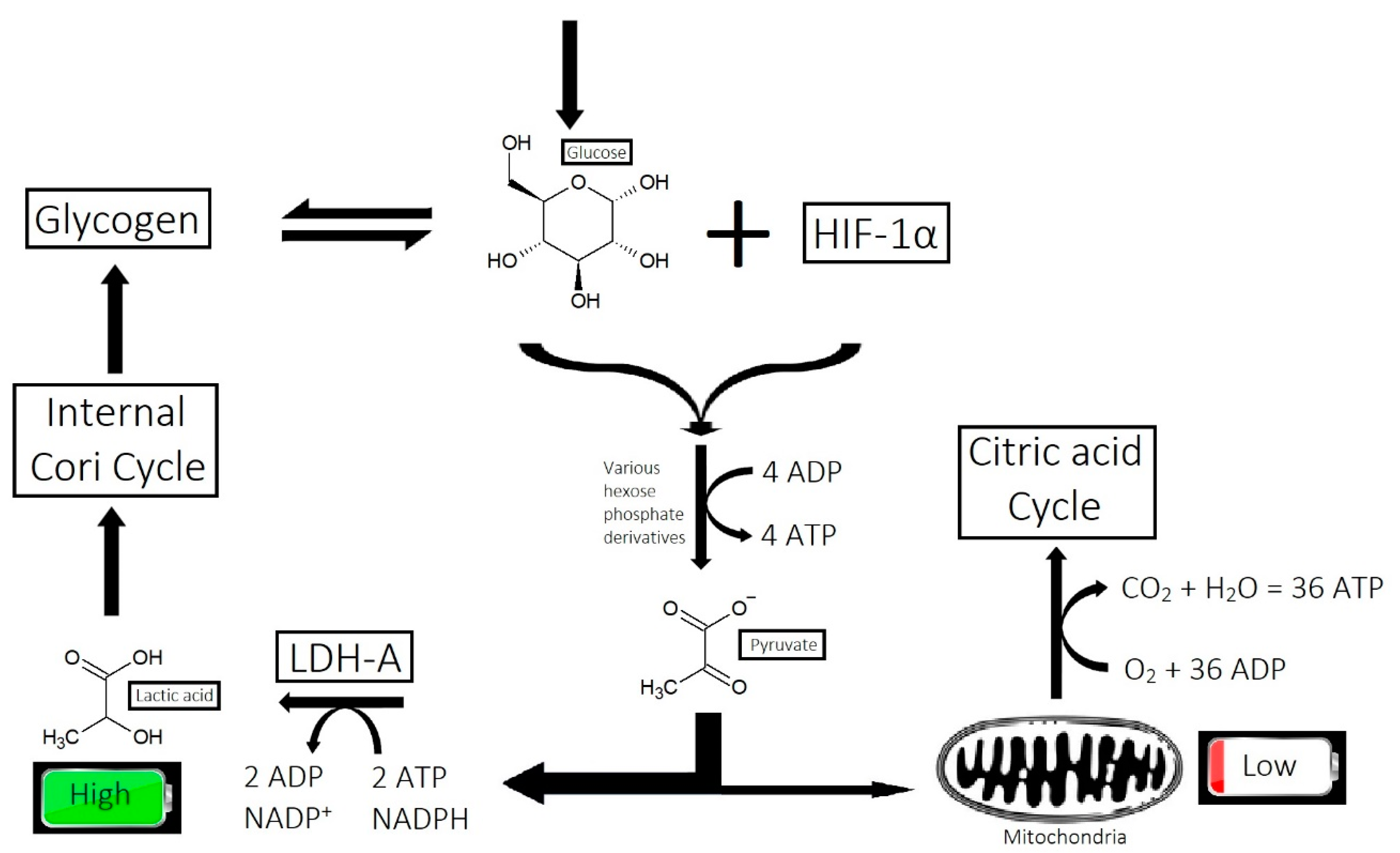 Cosmetics 10 00106 g009