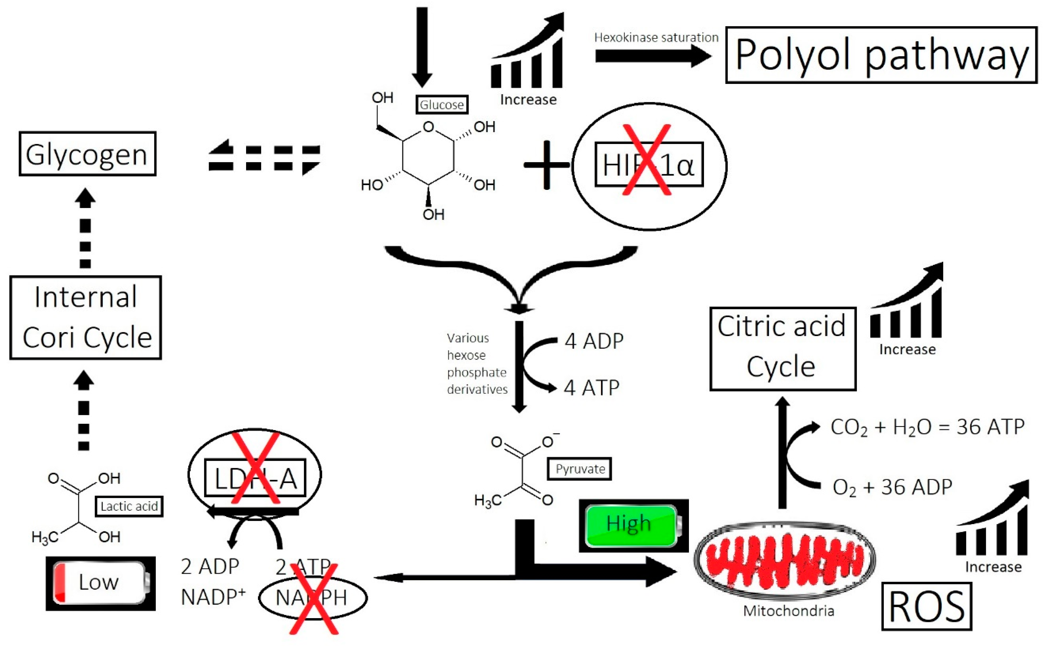 Cosmetics 10 00106 g010