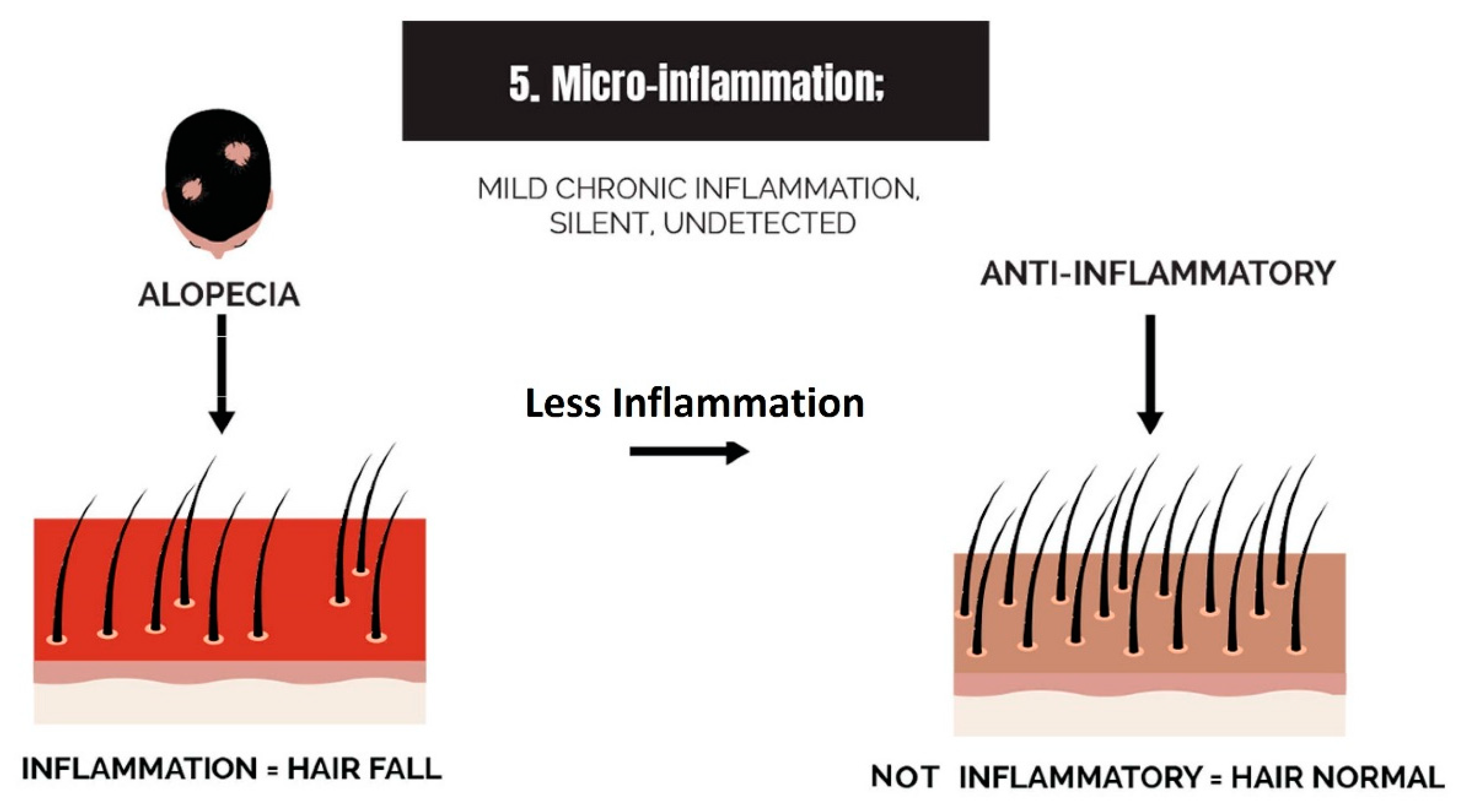 Cosmetics 10 00106 g013