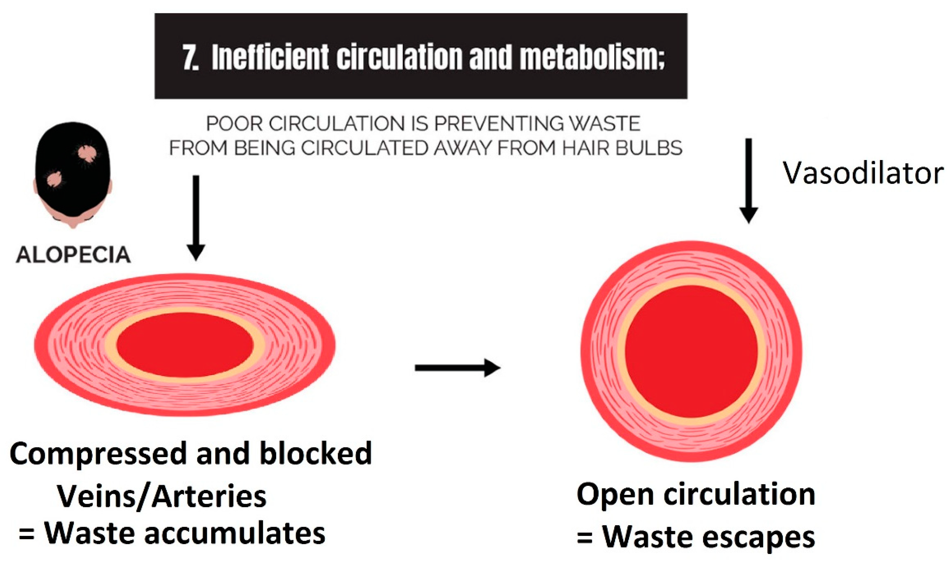 Cosmetics 10 00106 g015