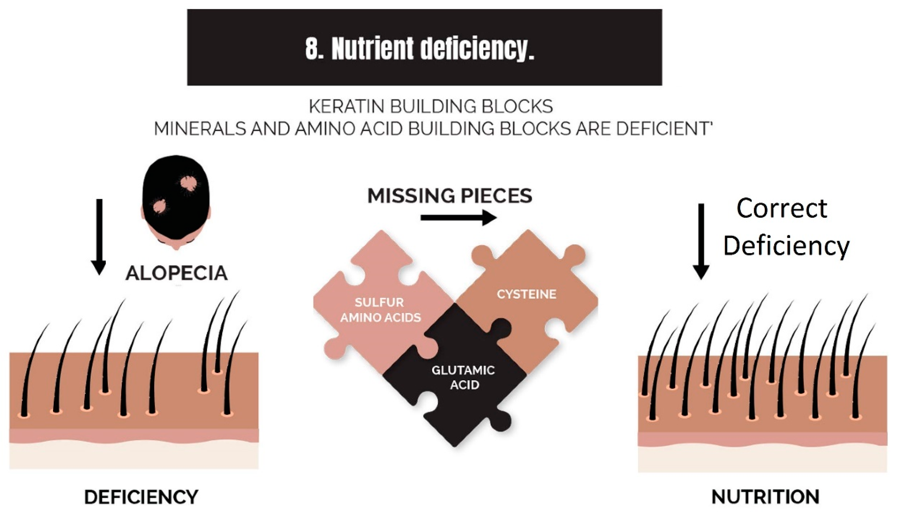 Cosmetics 10 00106 g016