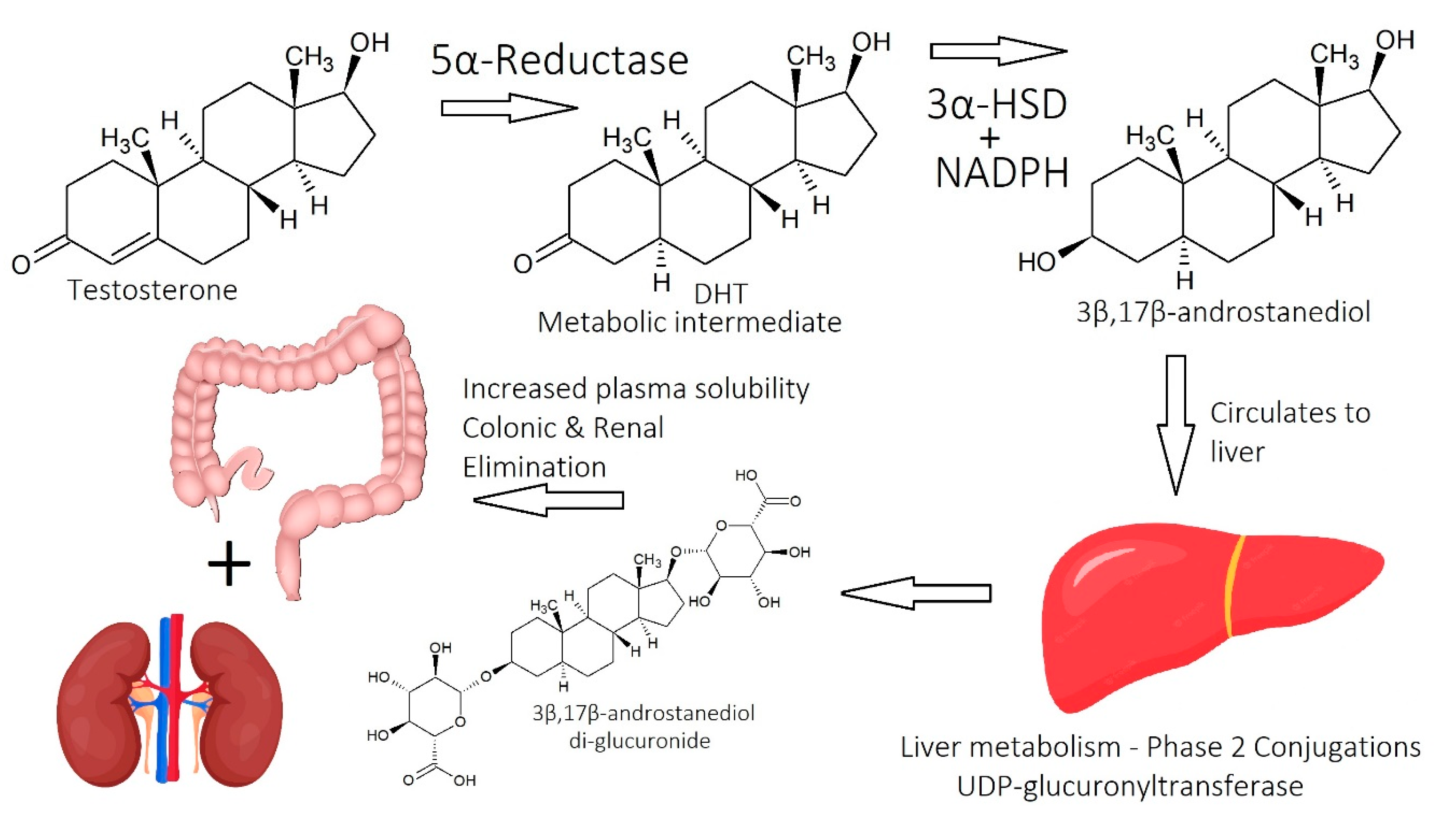 Cosmetics 10 00106 g017
