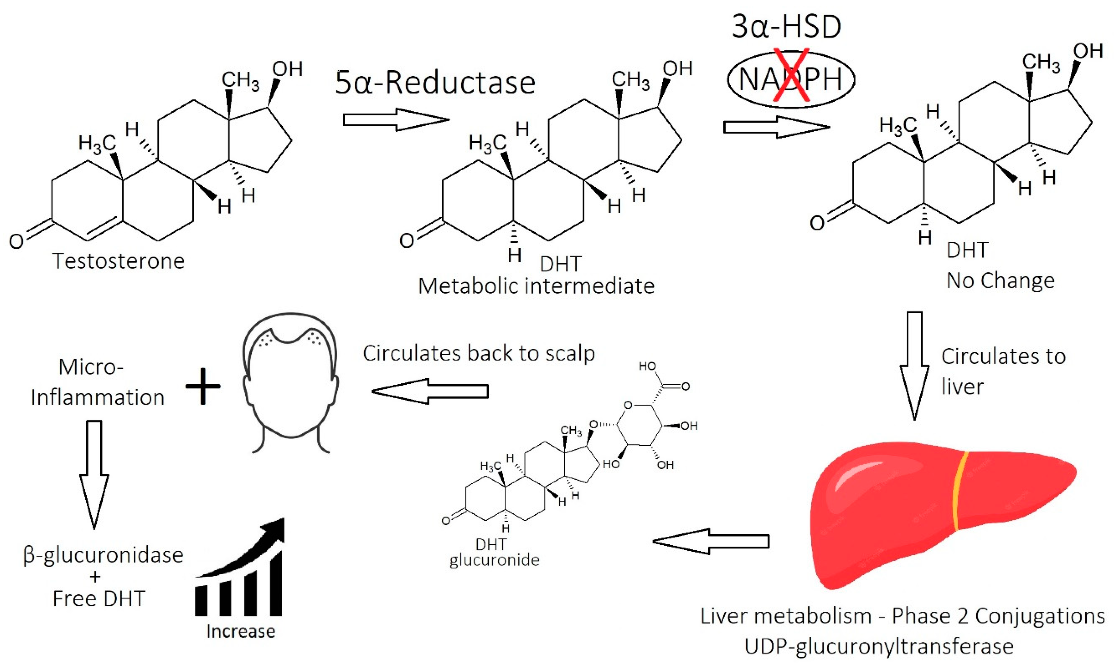 Cosmetics 10 00106 g018