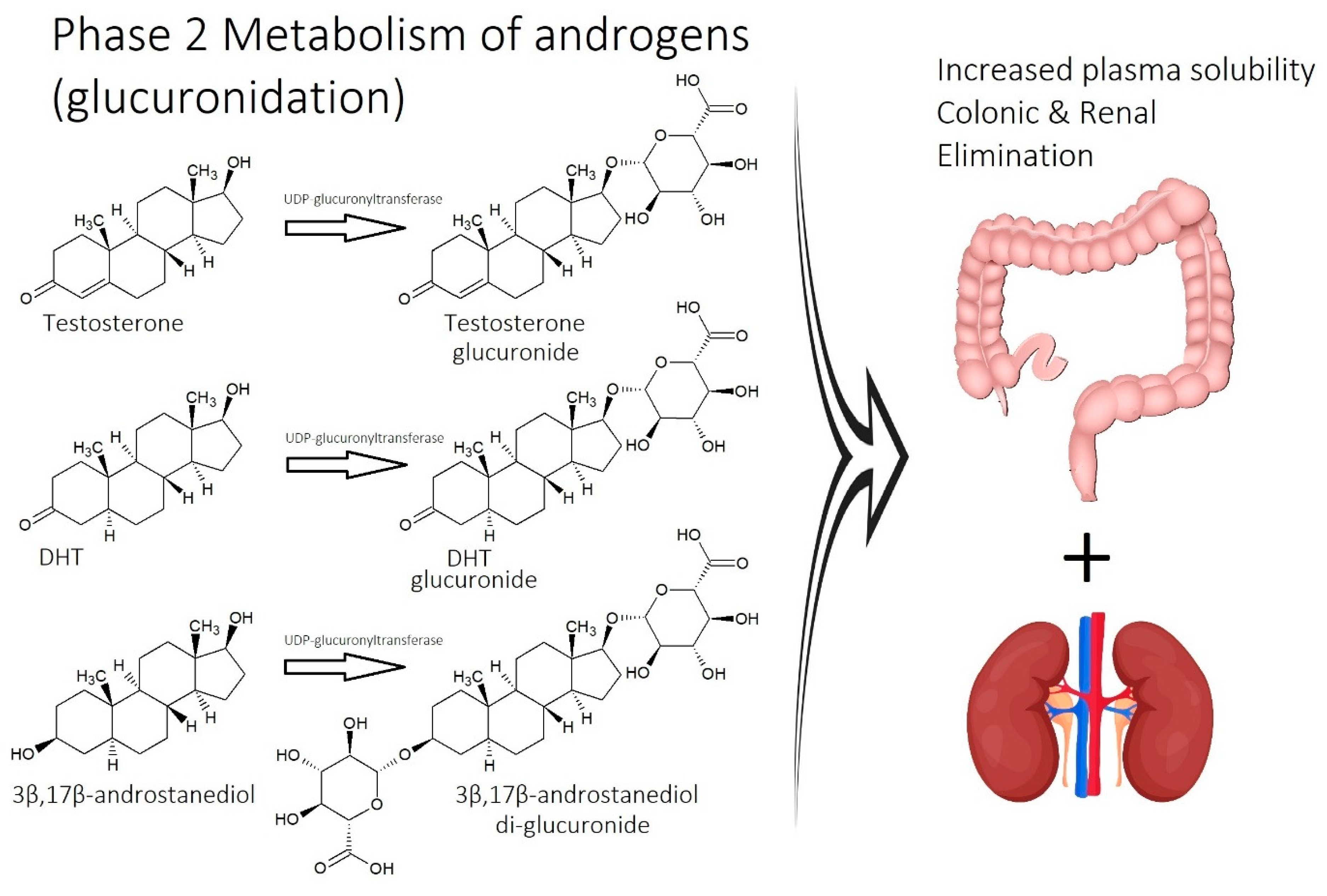 Cosmetics 10 00106 g019