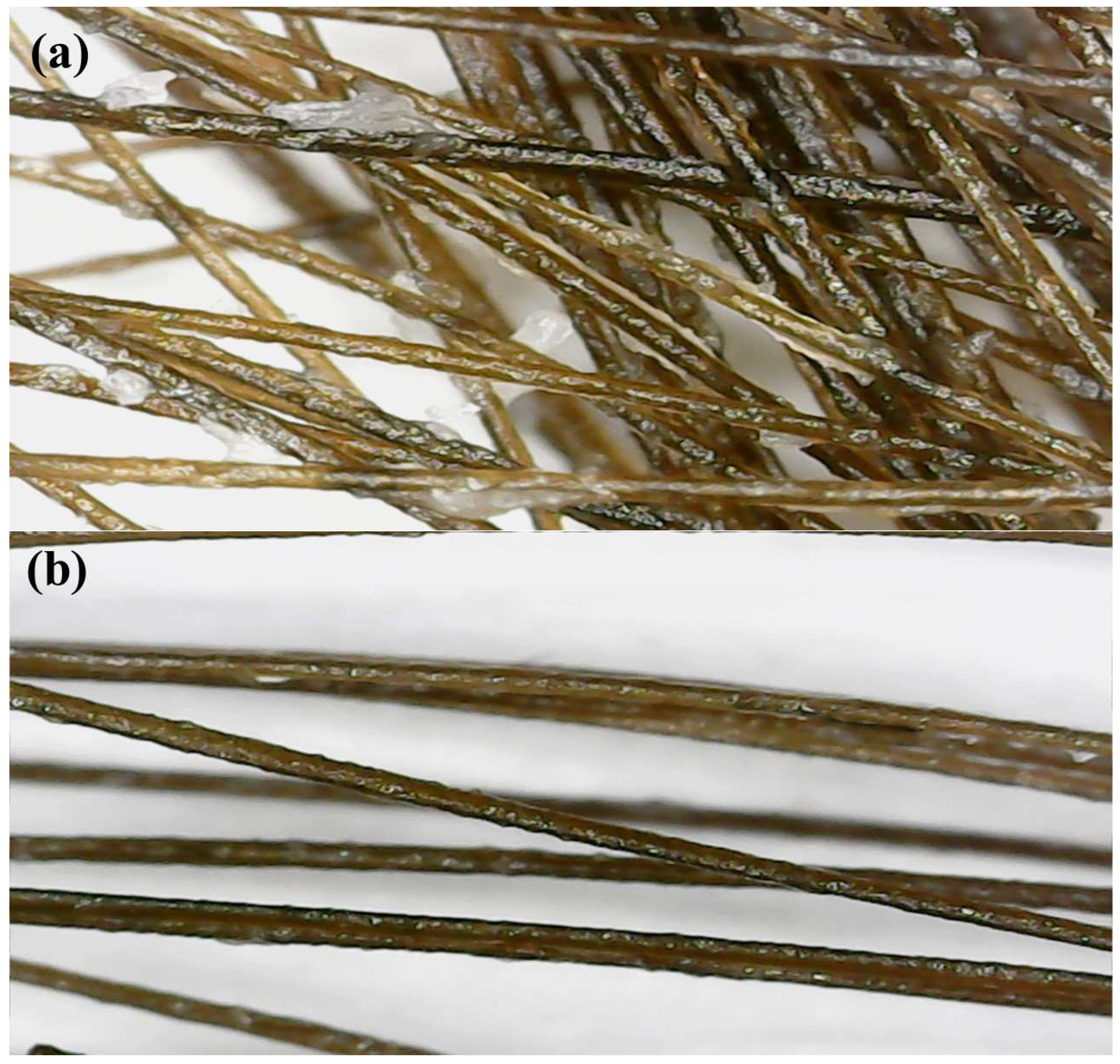 Cosmetics 10 00109 g001 Cosmetics 10 00109 g001