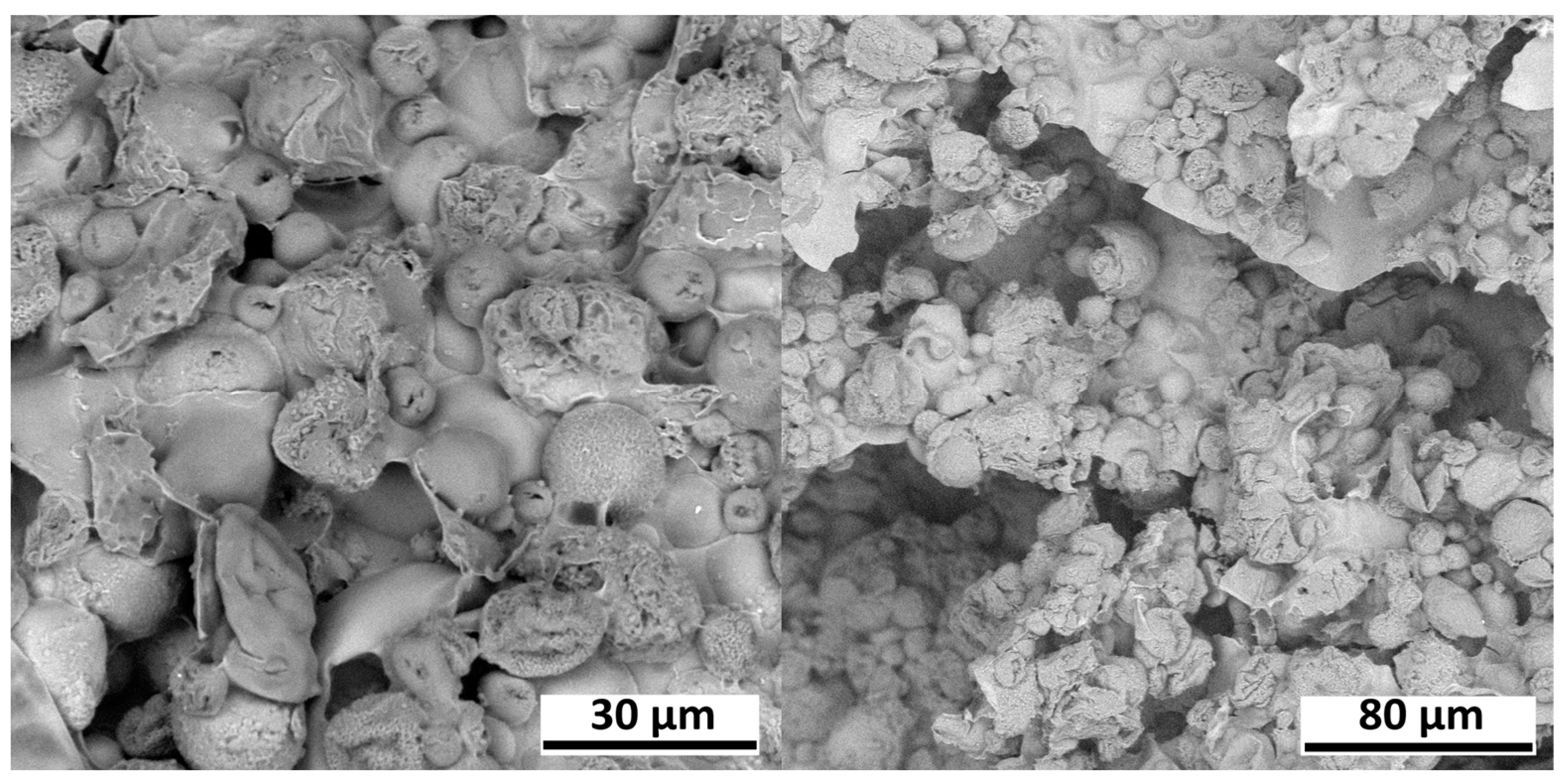 Cosmetics 10 00110 g003