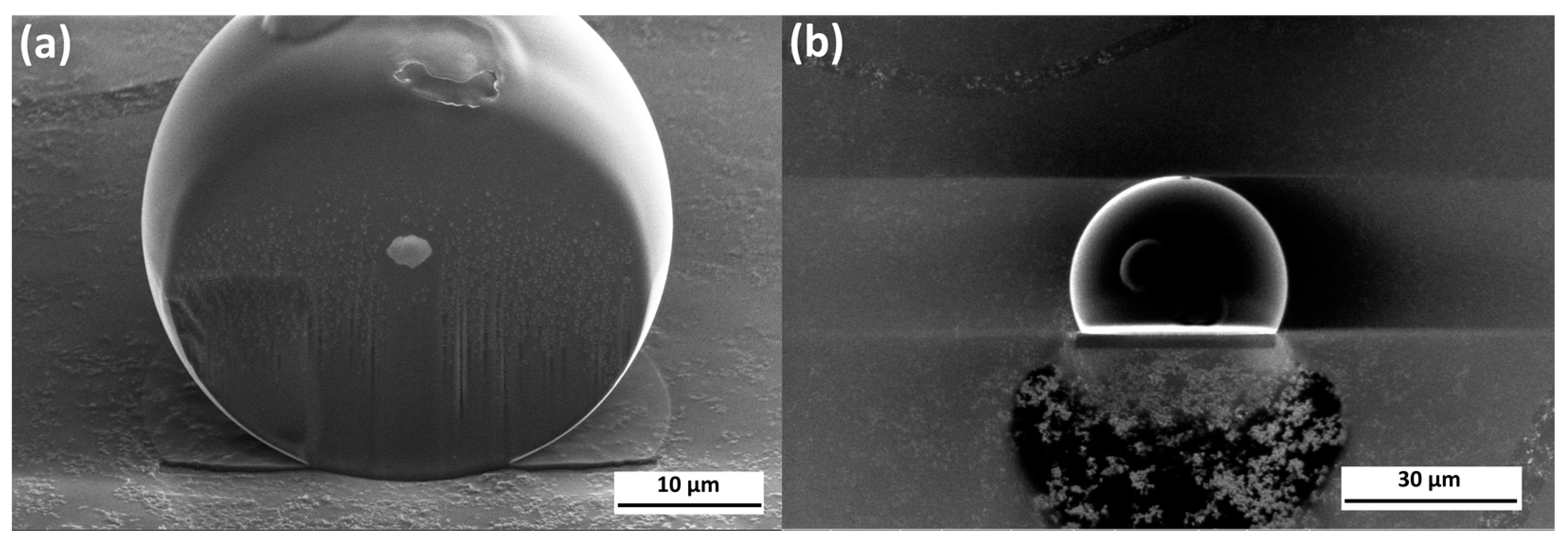 Cosmetics 10 00110 g007