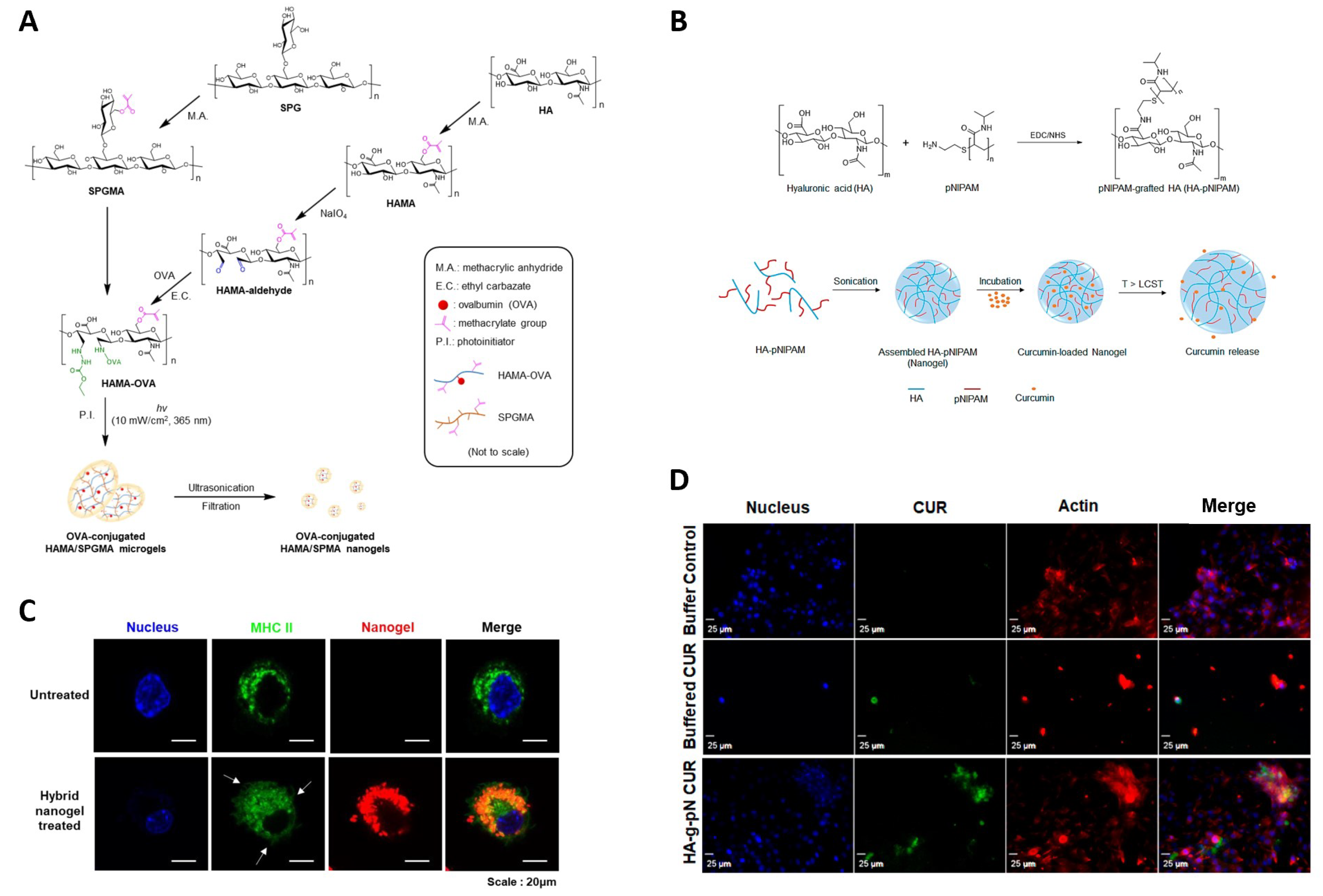 Cosmetics 10 00113 g005 Cosmetics 10 00113 g005