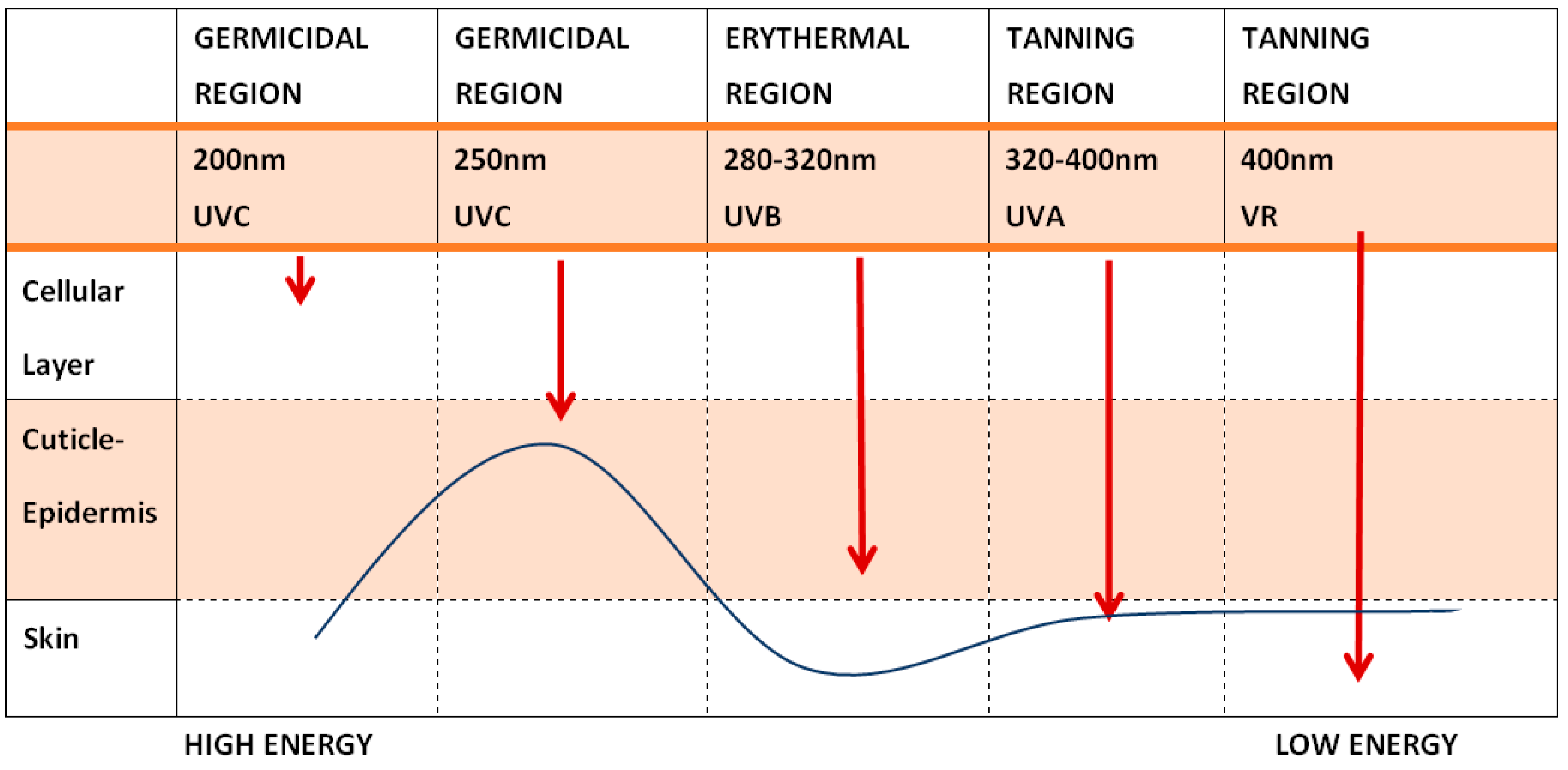 Cosmetics 10 00120 g001
