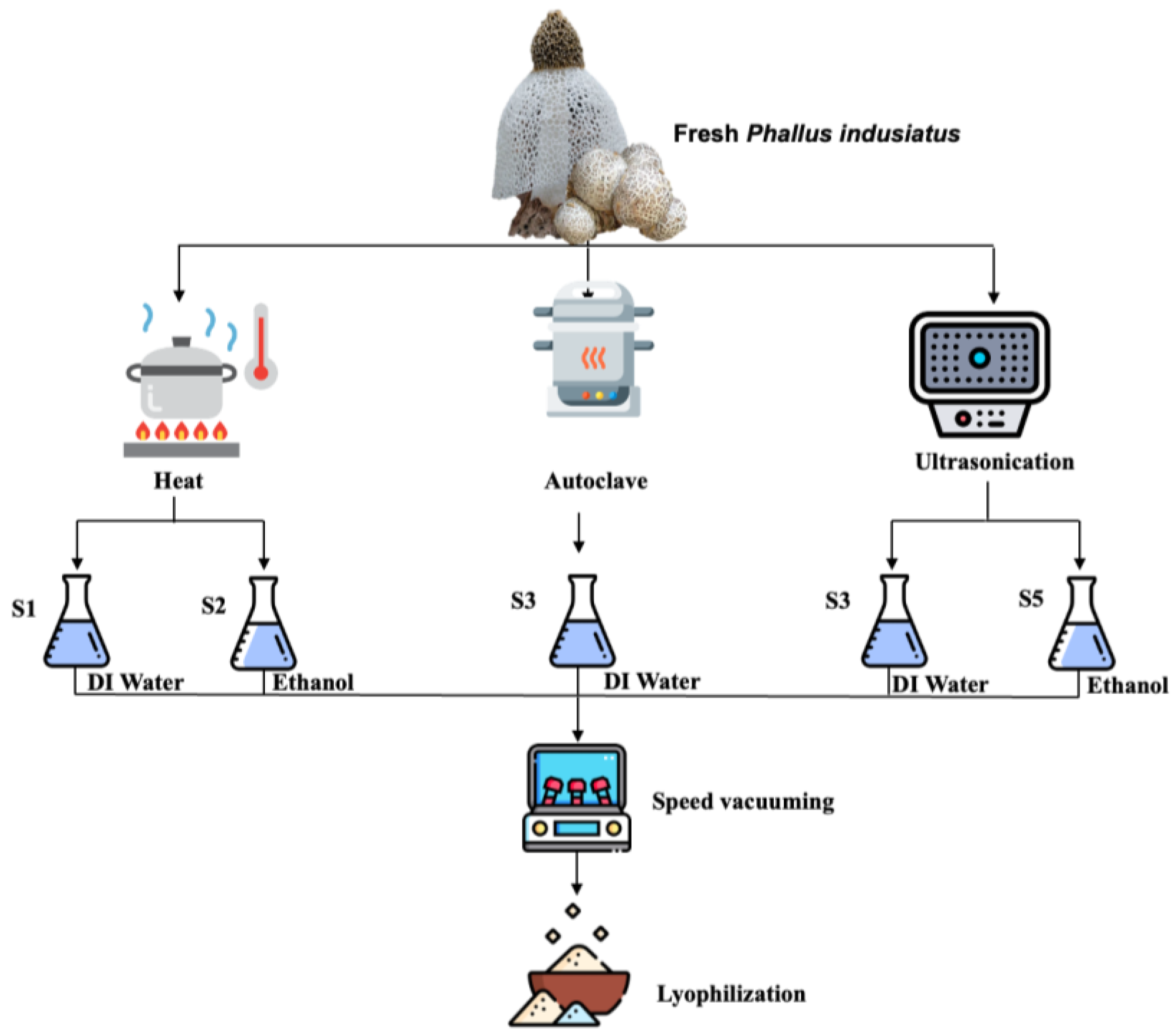 Cosmetics 10 00121 g001