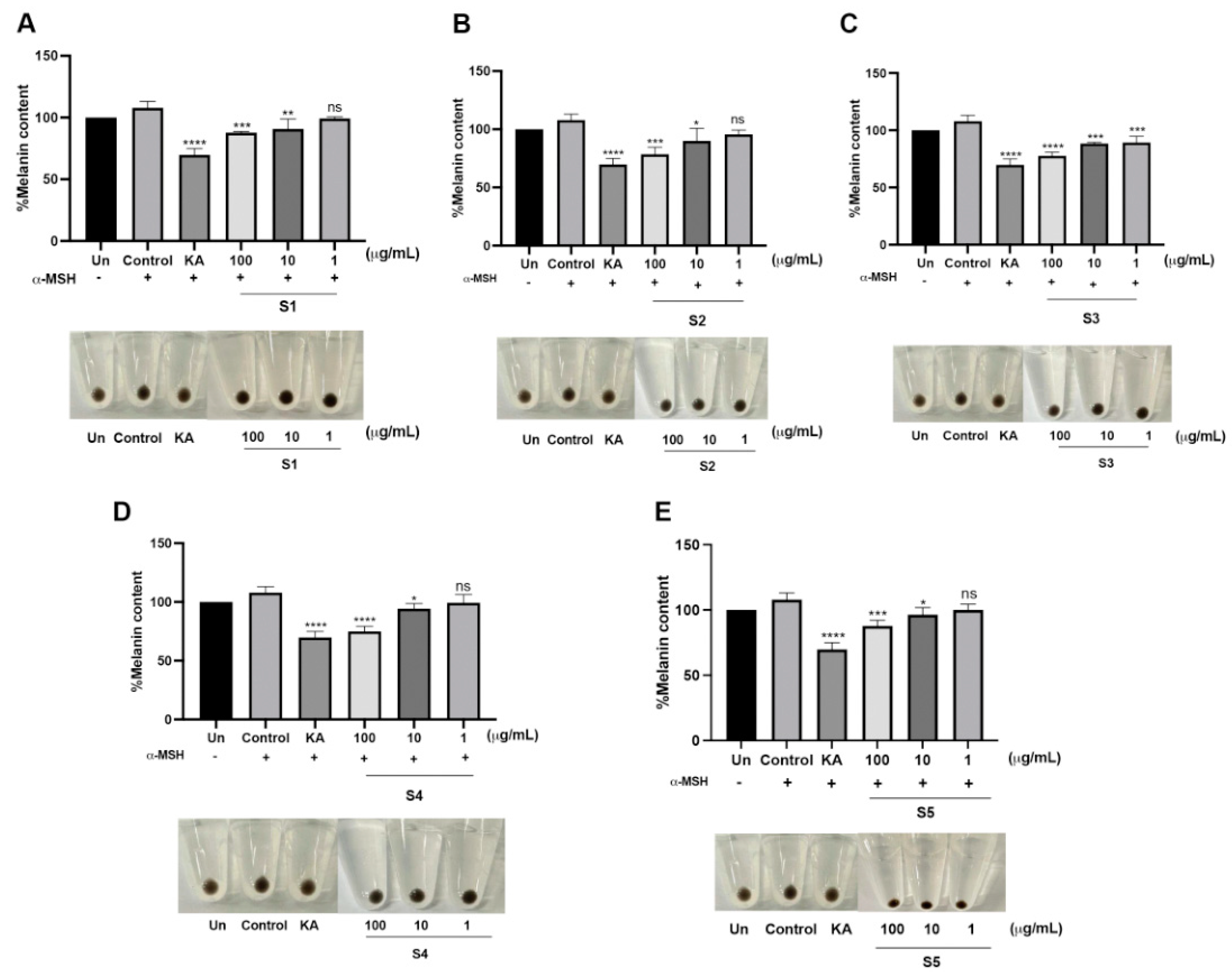 Cosmetics 10 00121 g005