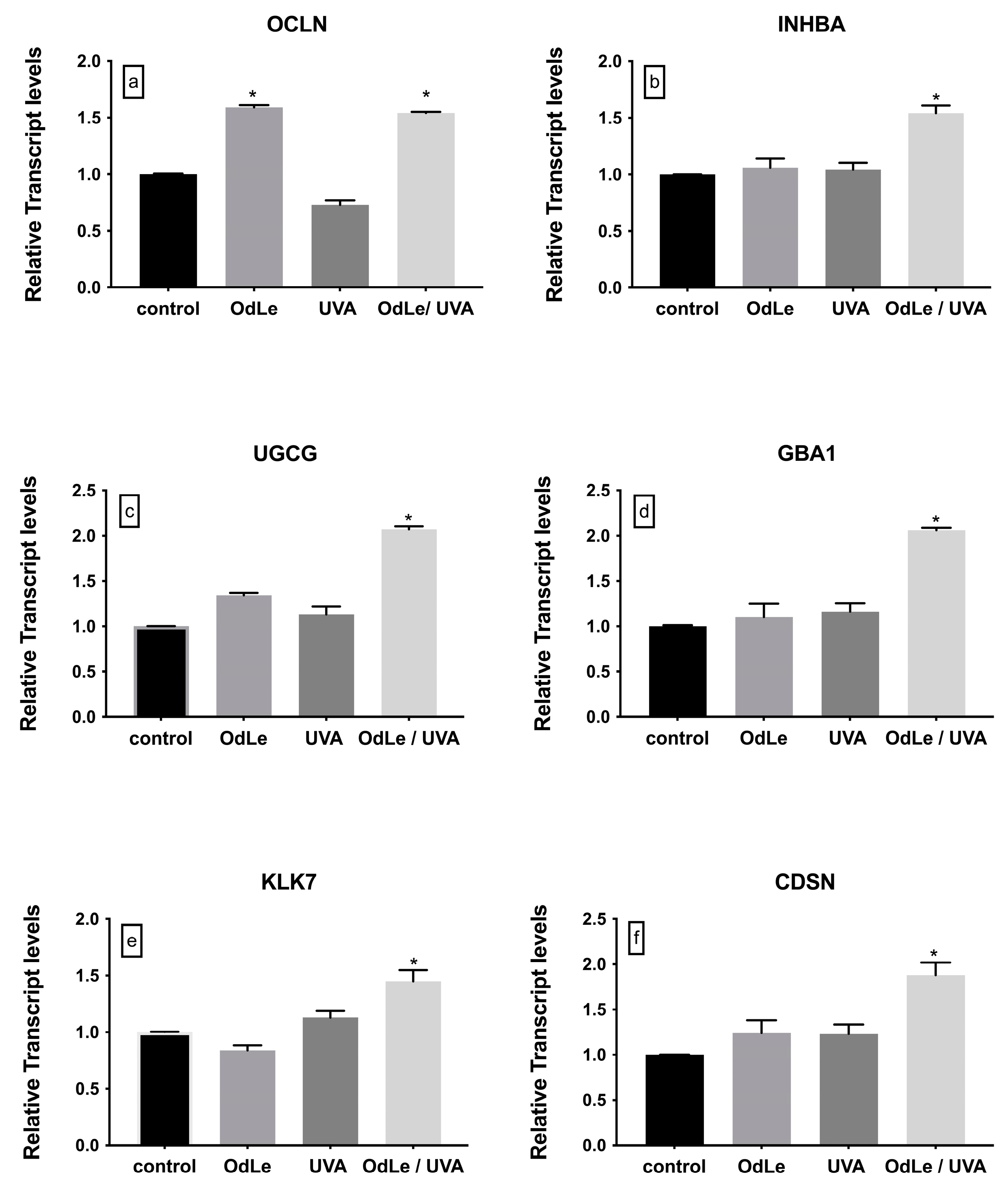 Cosmetics 10 00124 g002