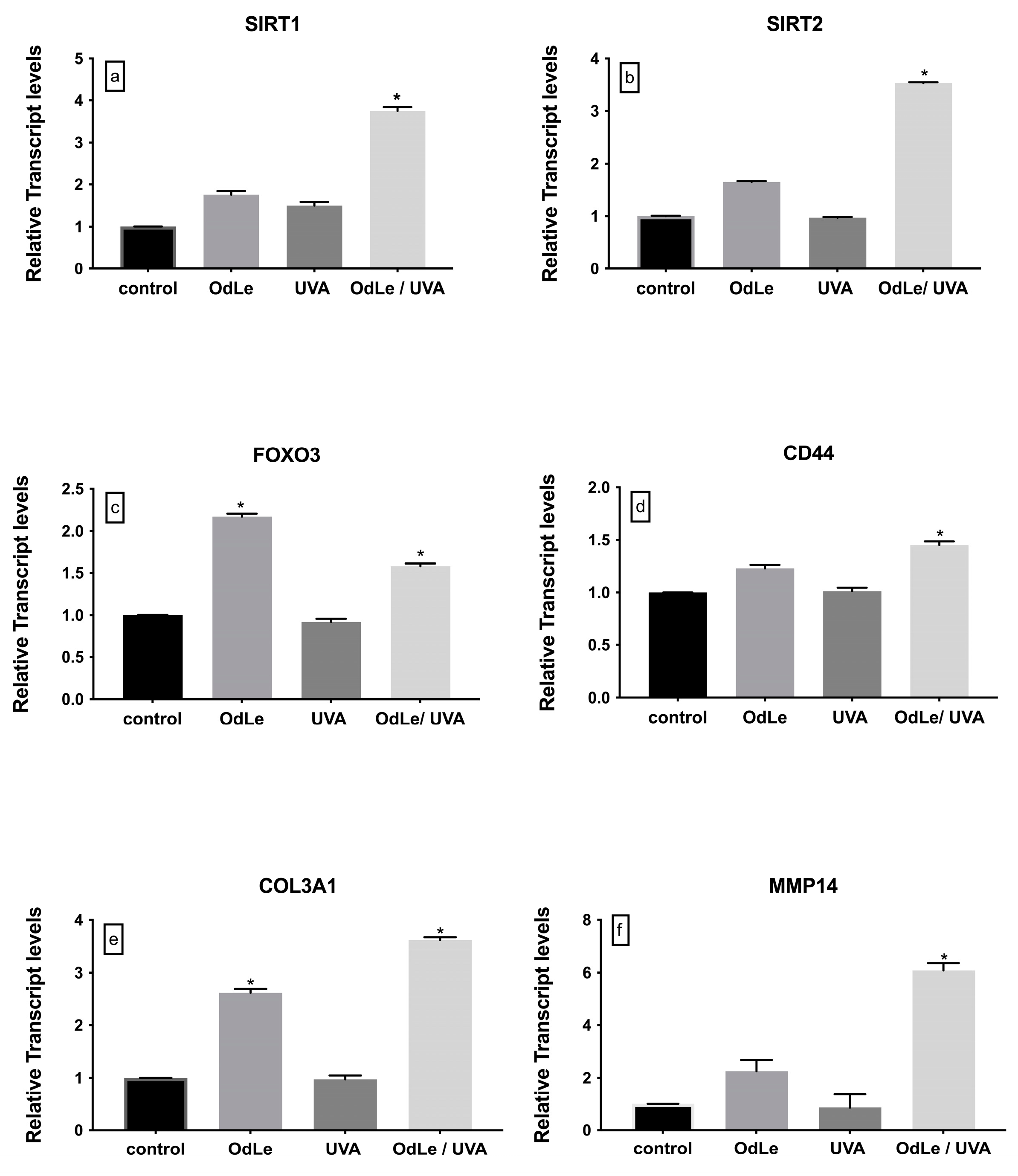 Cosmetics 10 00124 g003