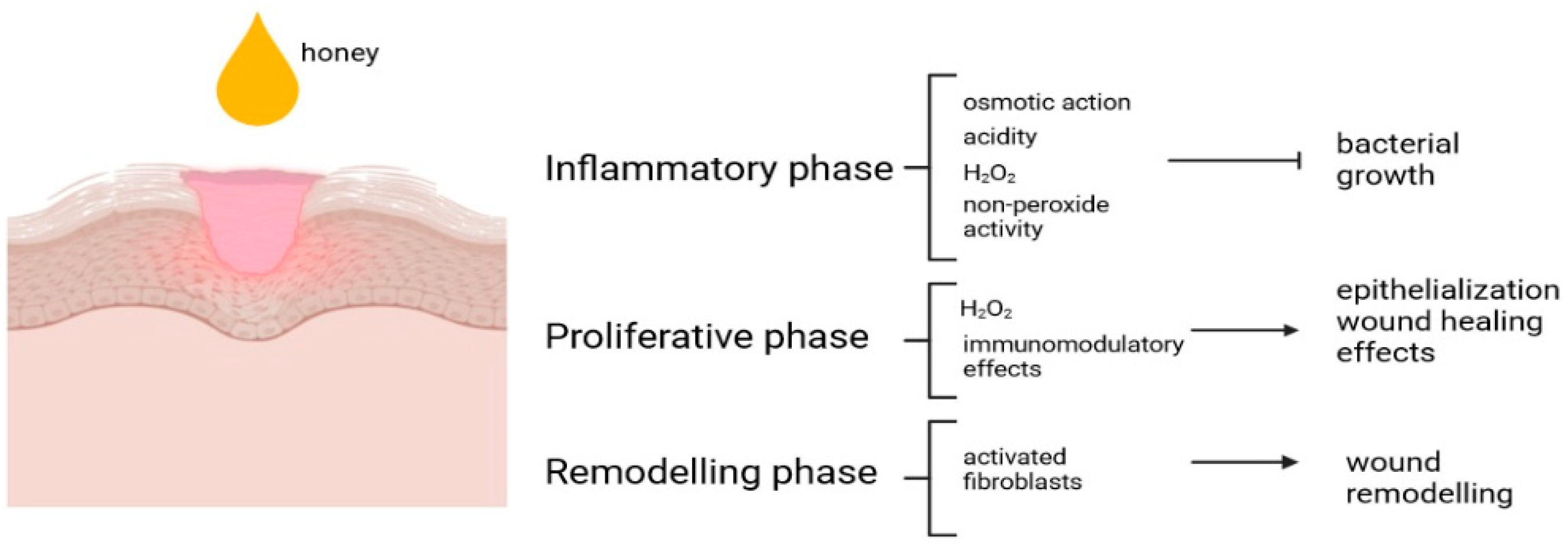 Cosmetics 10 00127 g003