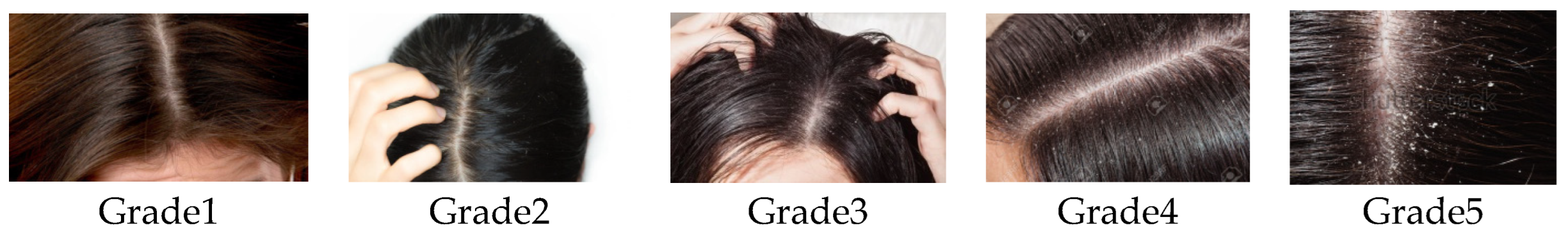 Cosmetics 10 00130 g002