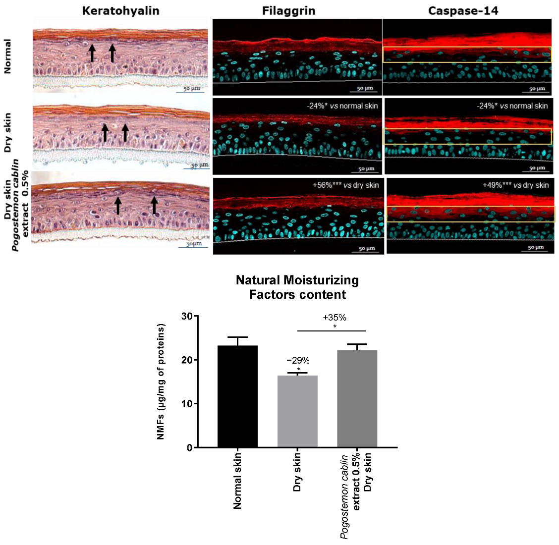 Cosmetics 10 00130 g006
