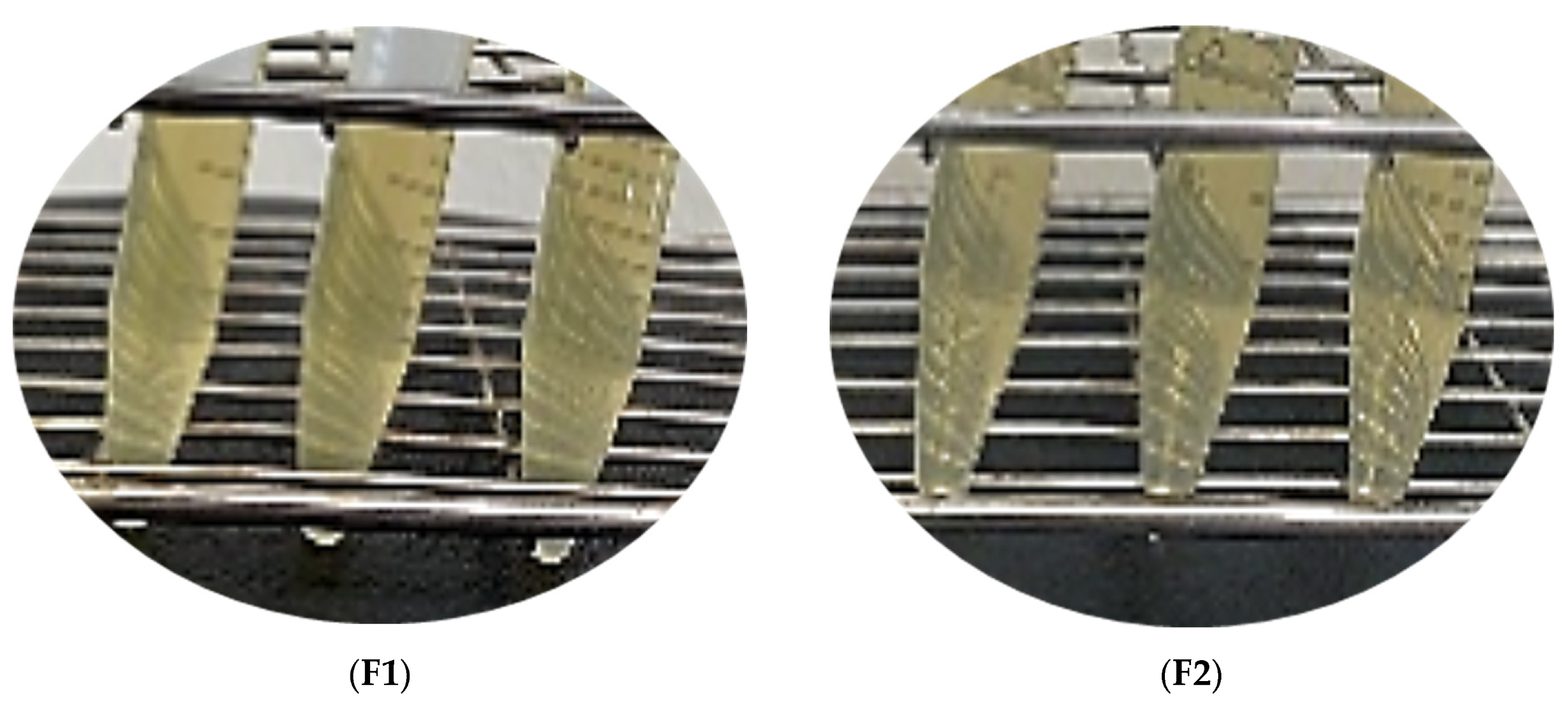 Cosmetics 10 00133 g003