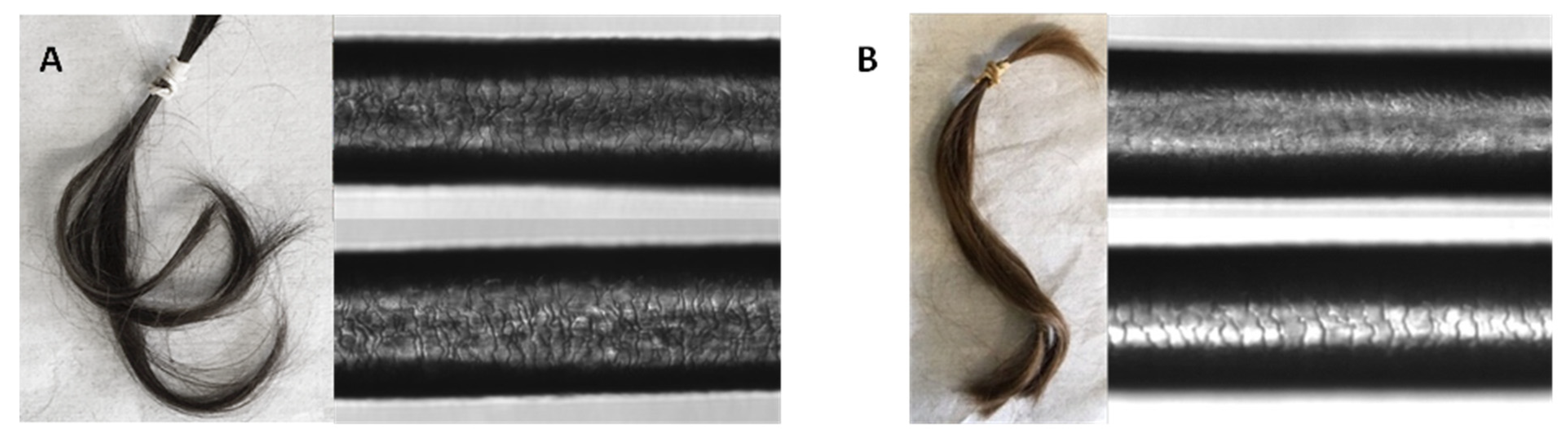 Cosmetics 10 00140 g007
