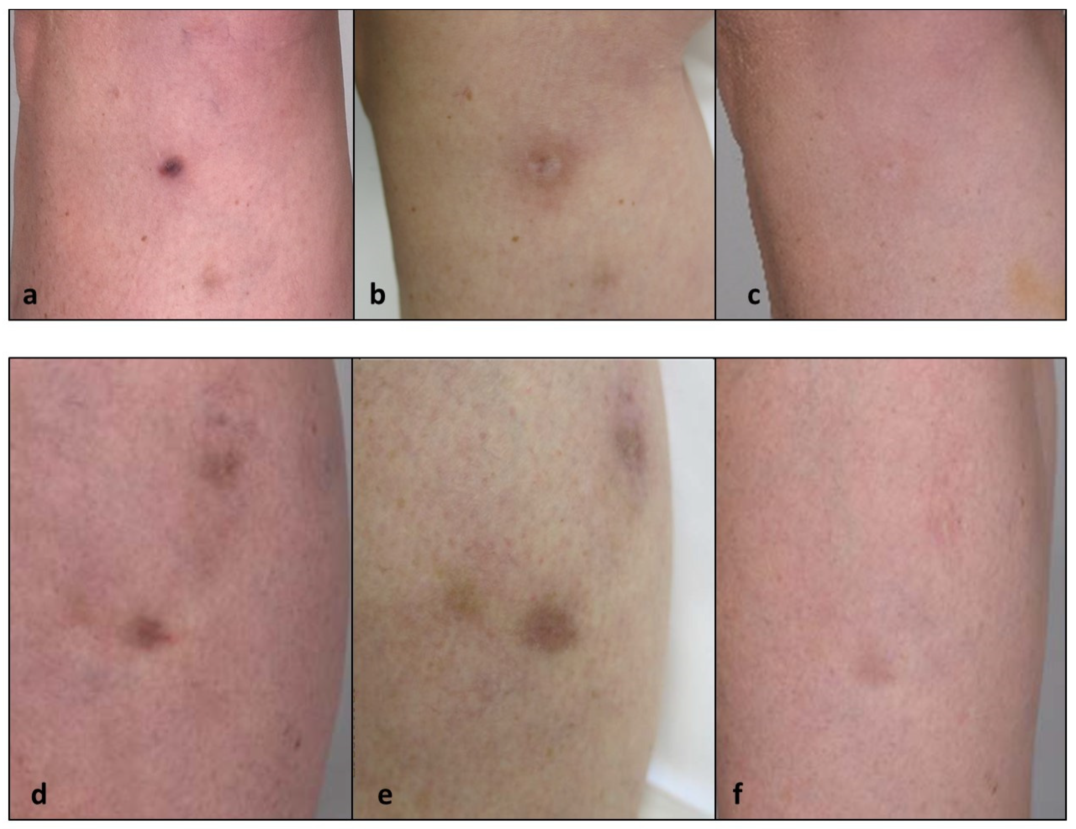 Cosmetics 10 00147 g002