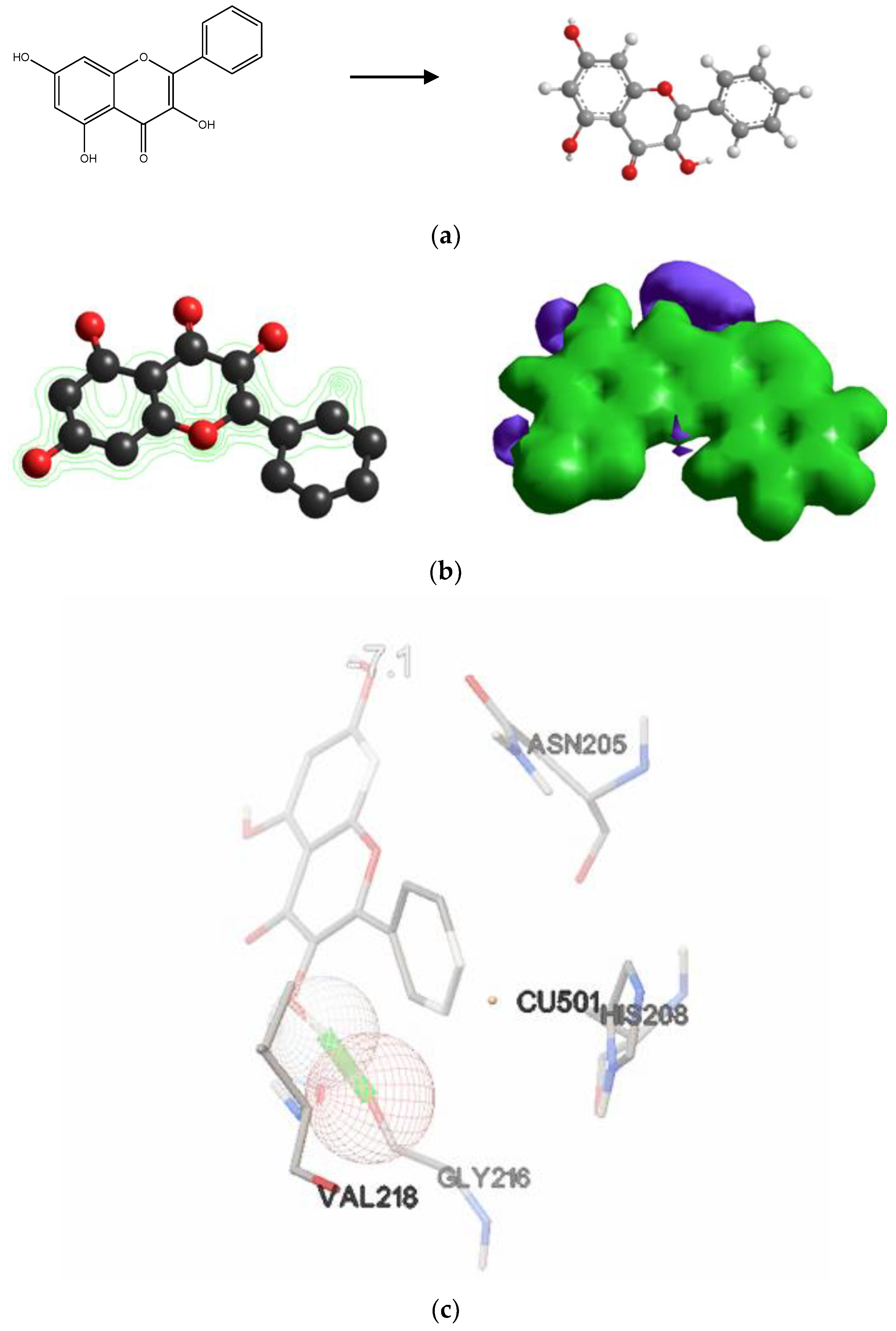 Cosmetics 10 00149 g005