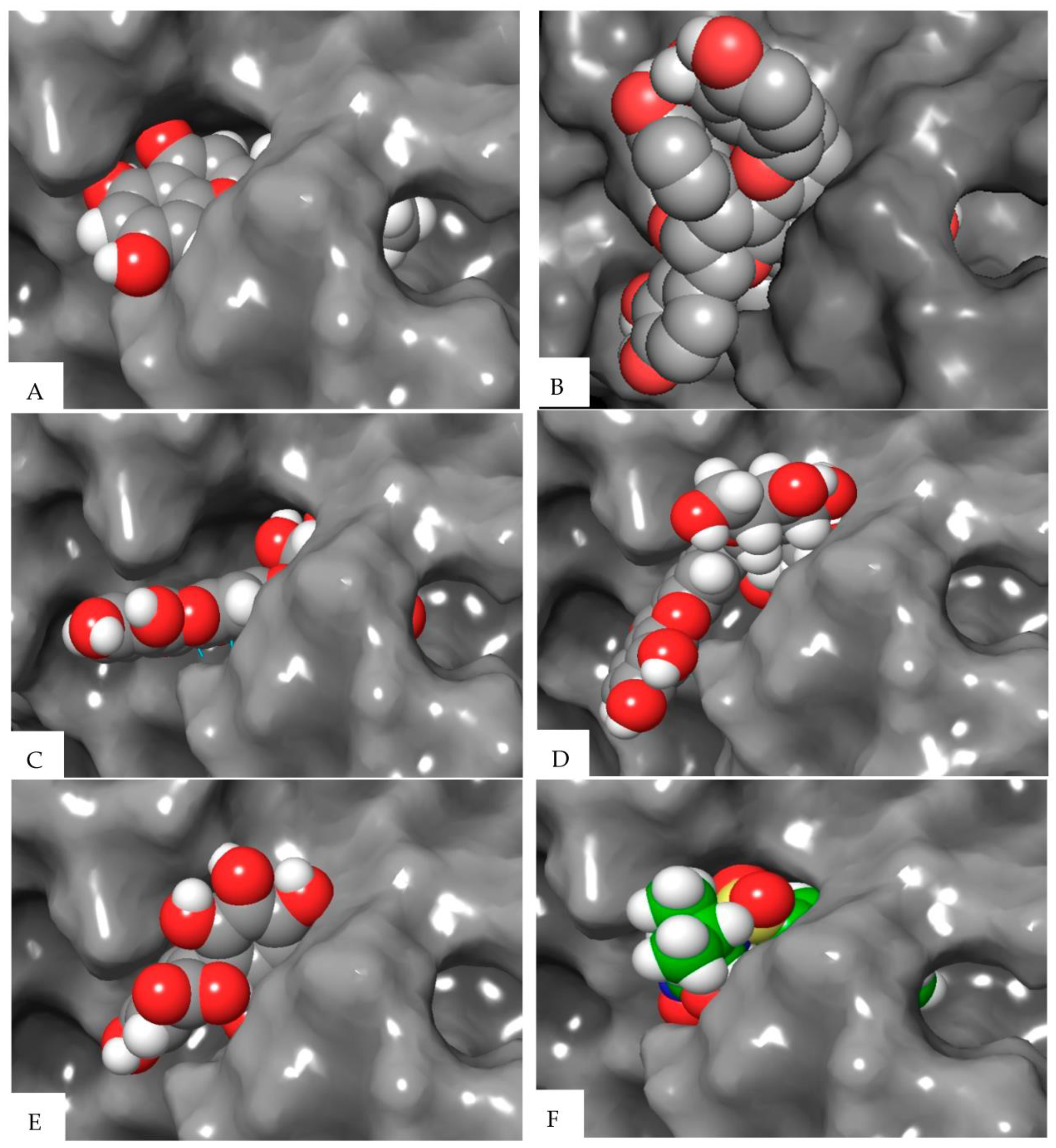 Cosmetics 10 00151 g006