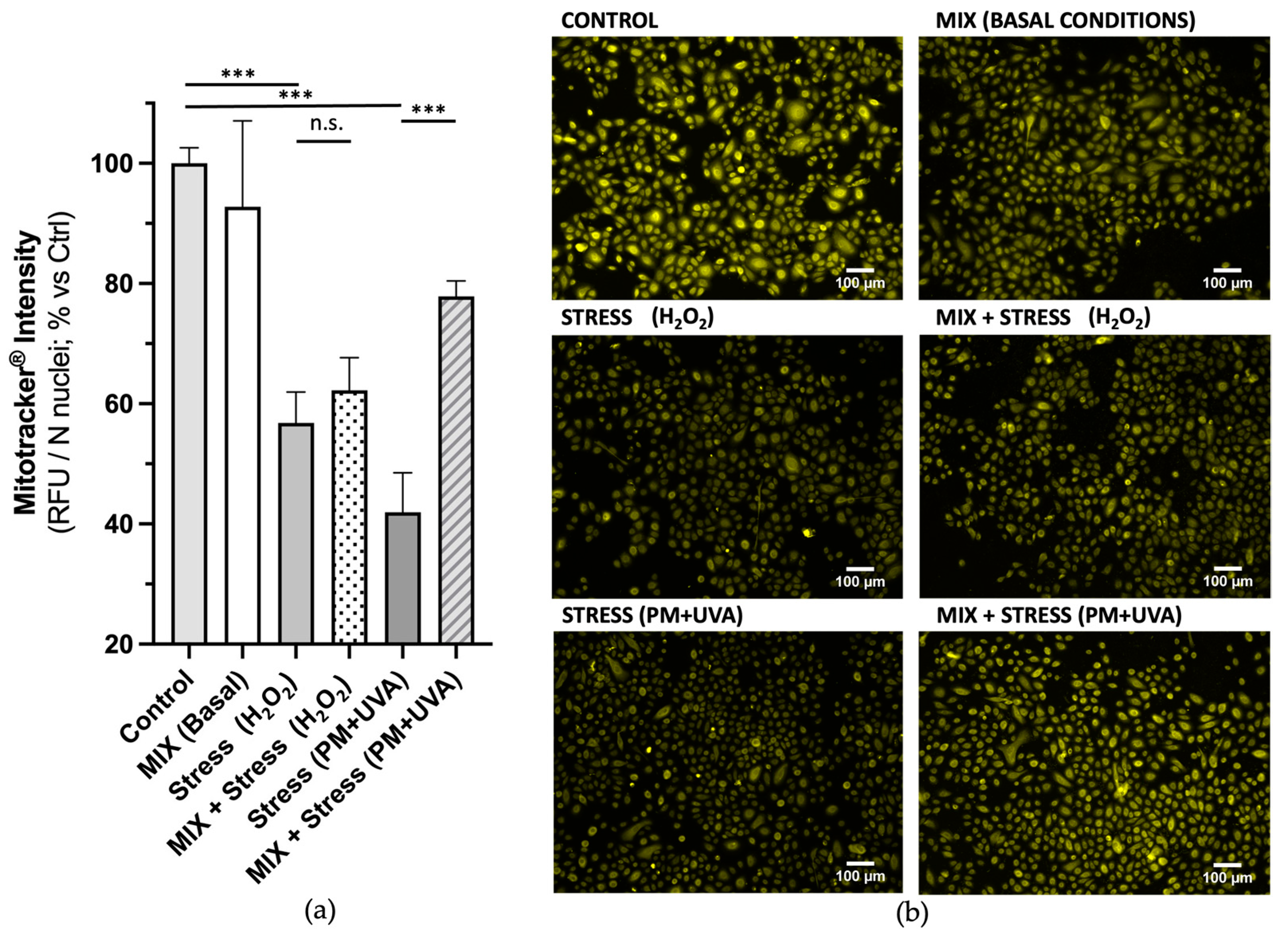 Cosmetics 10 00155 g004