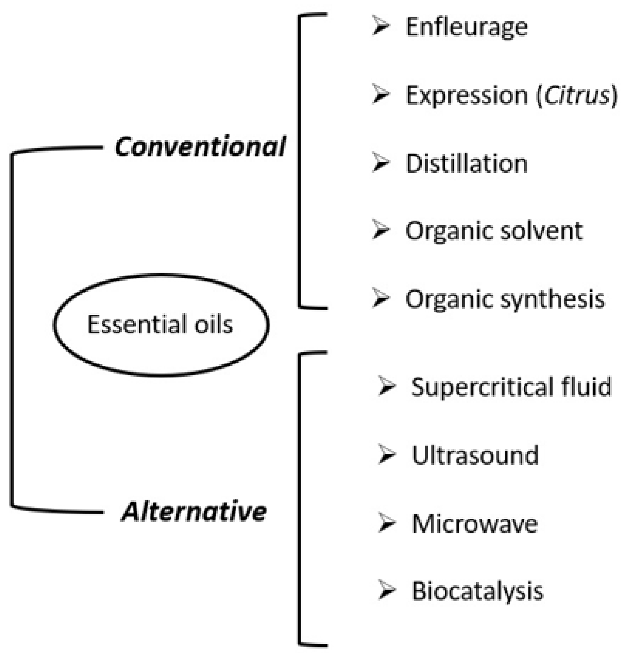 Cosmetics 10 00157 g004 Cosmetics 10 00157 g004
