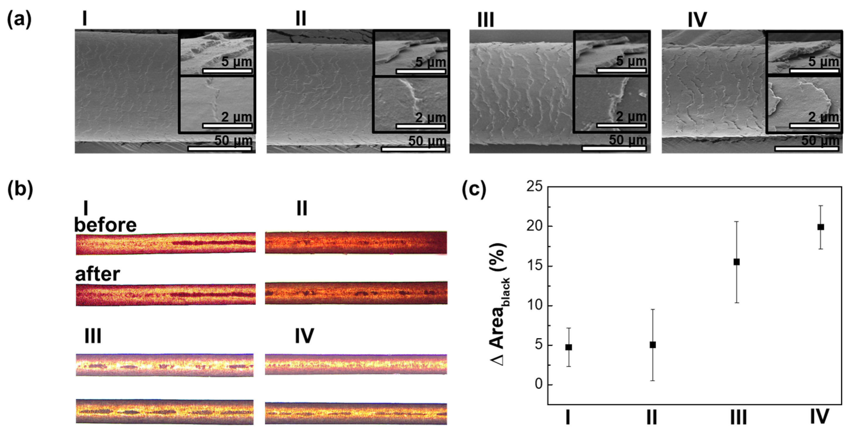 Cosmetics 10 00161 g003