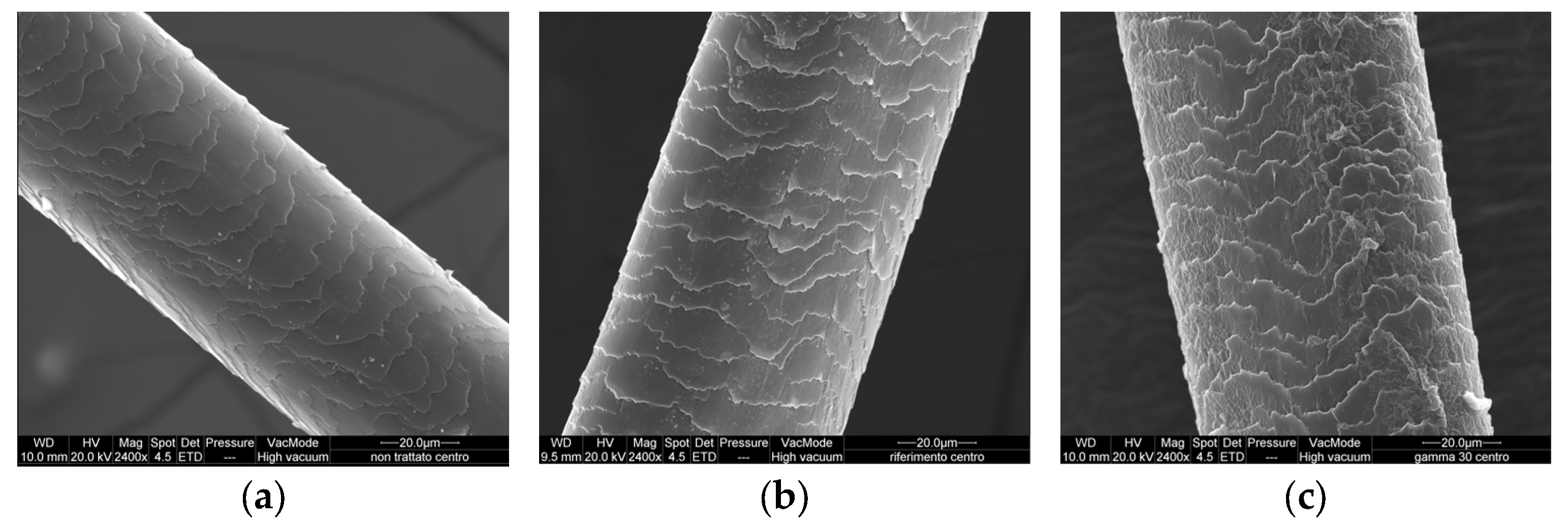 Cosmetics 10 00163 g005a Cosmetics 10 00163 g005a