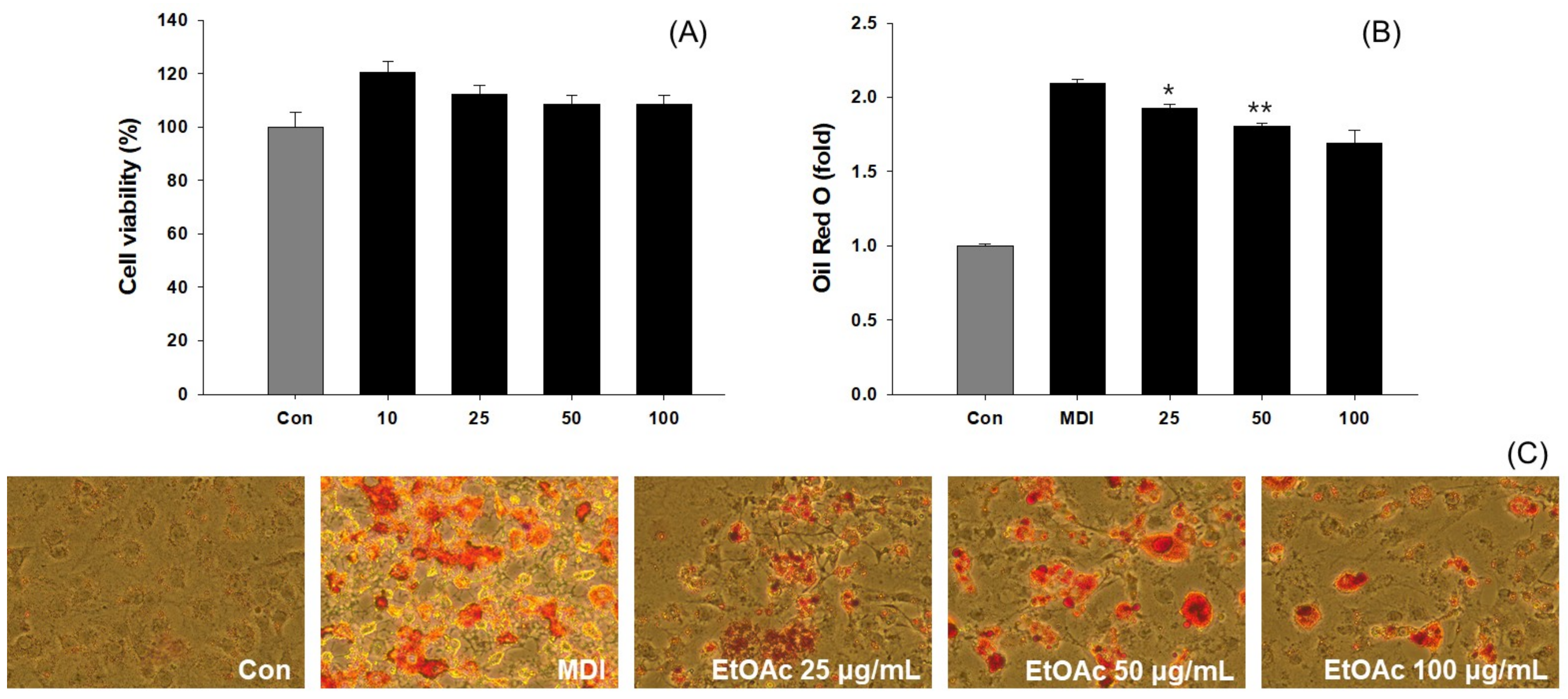 Cosmetics 10 00164 g005