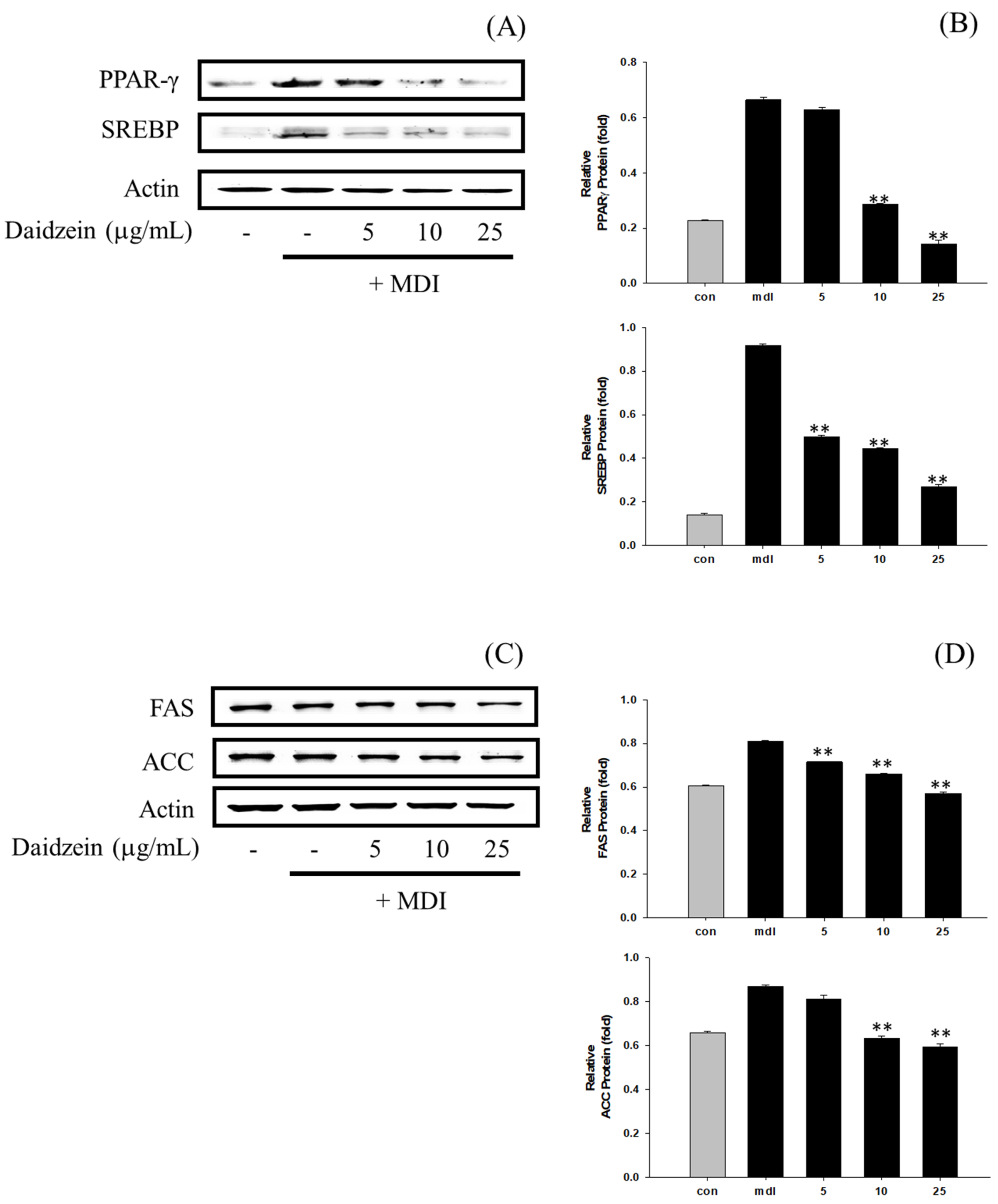 Cosmetics 10 00164 g008