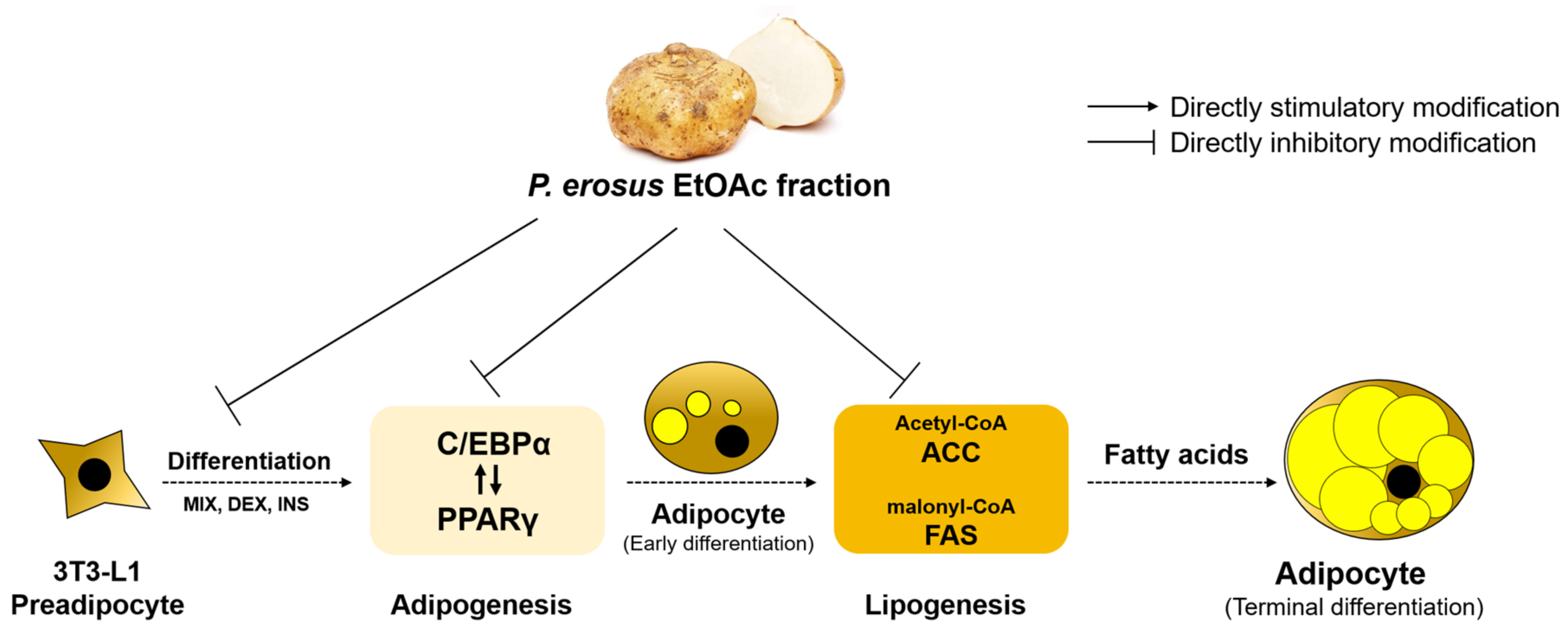Cosmetics 10 00164 g009
