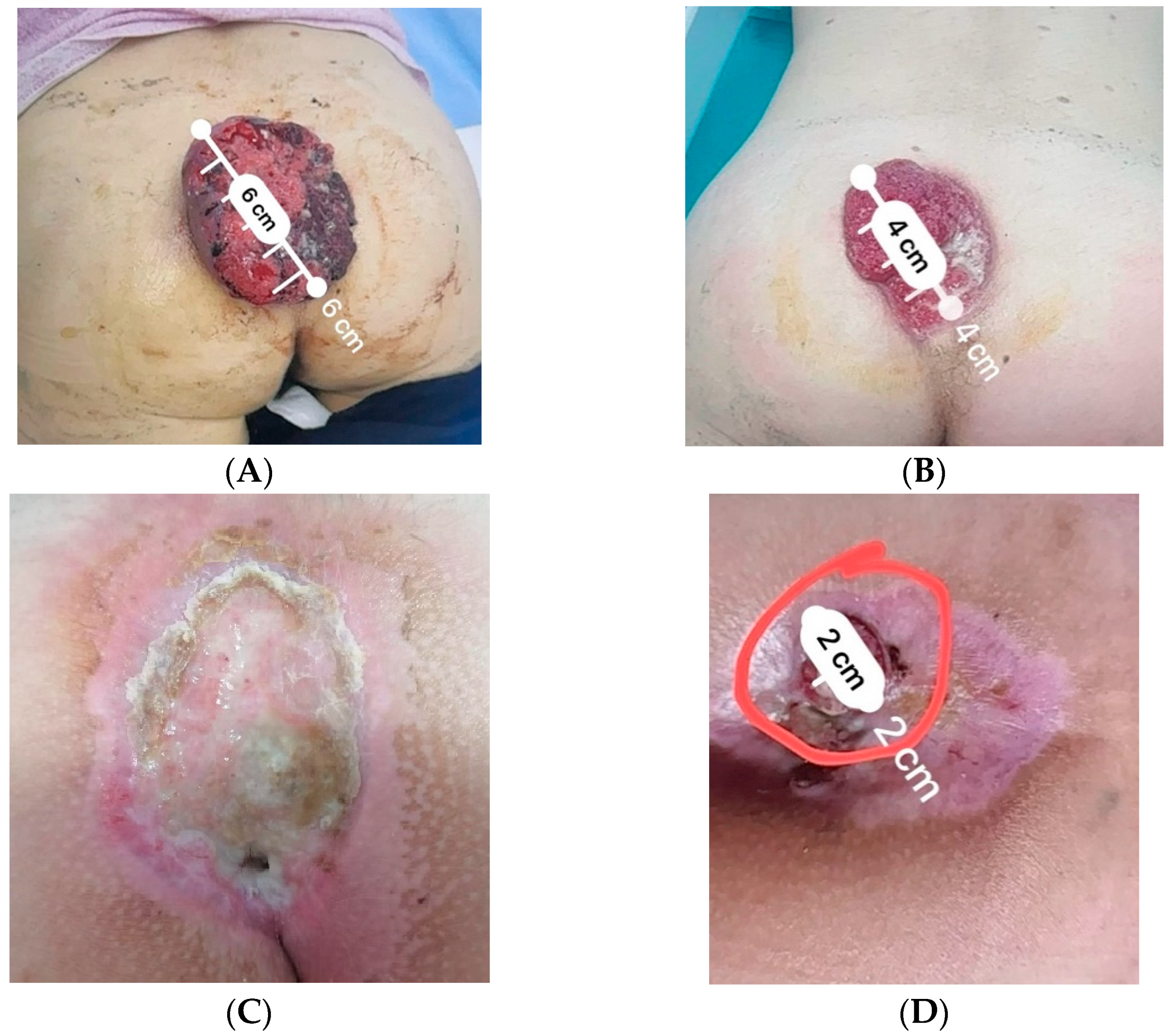 Cosmetics 10 00165 g001