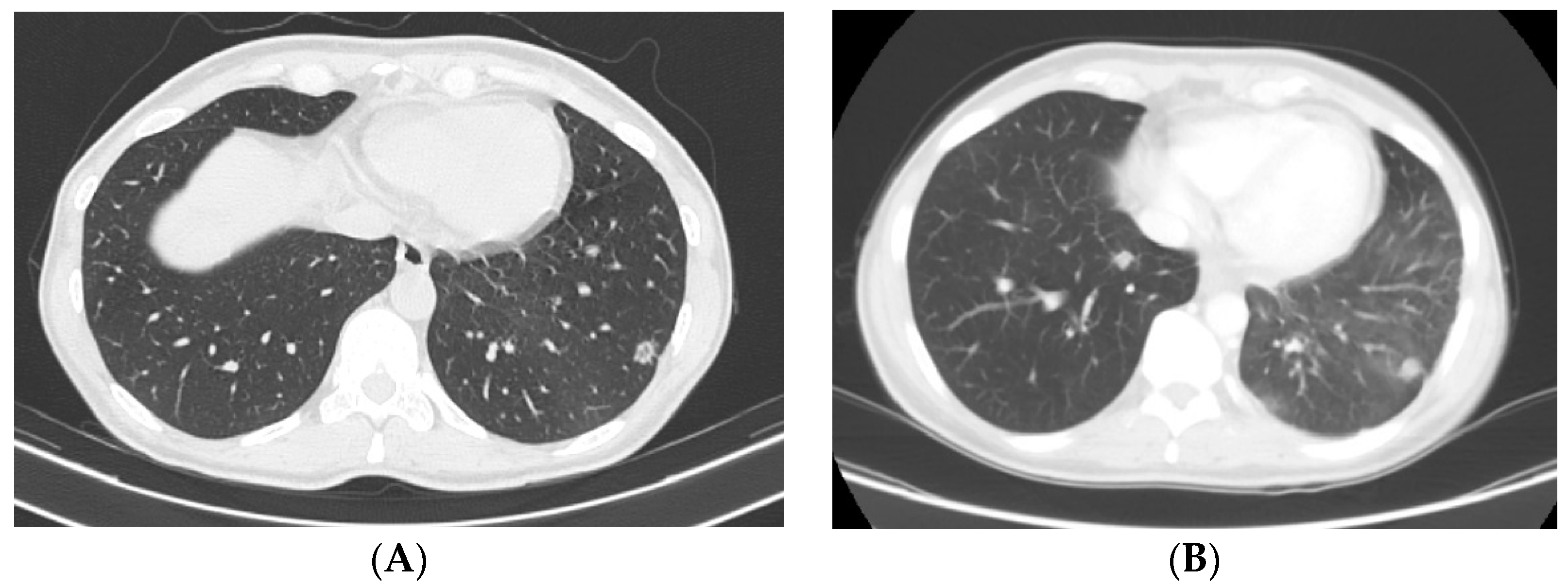 Cosmetics 10 00165 g002