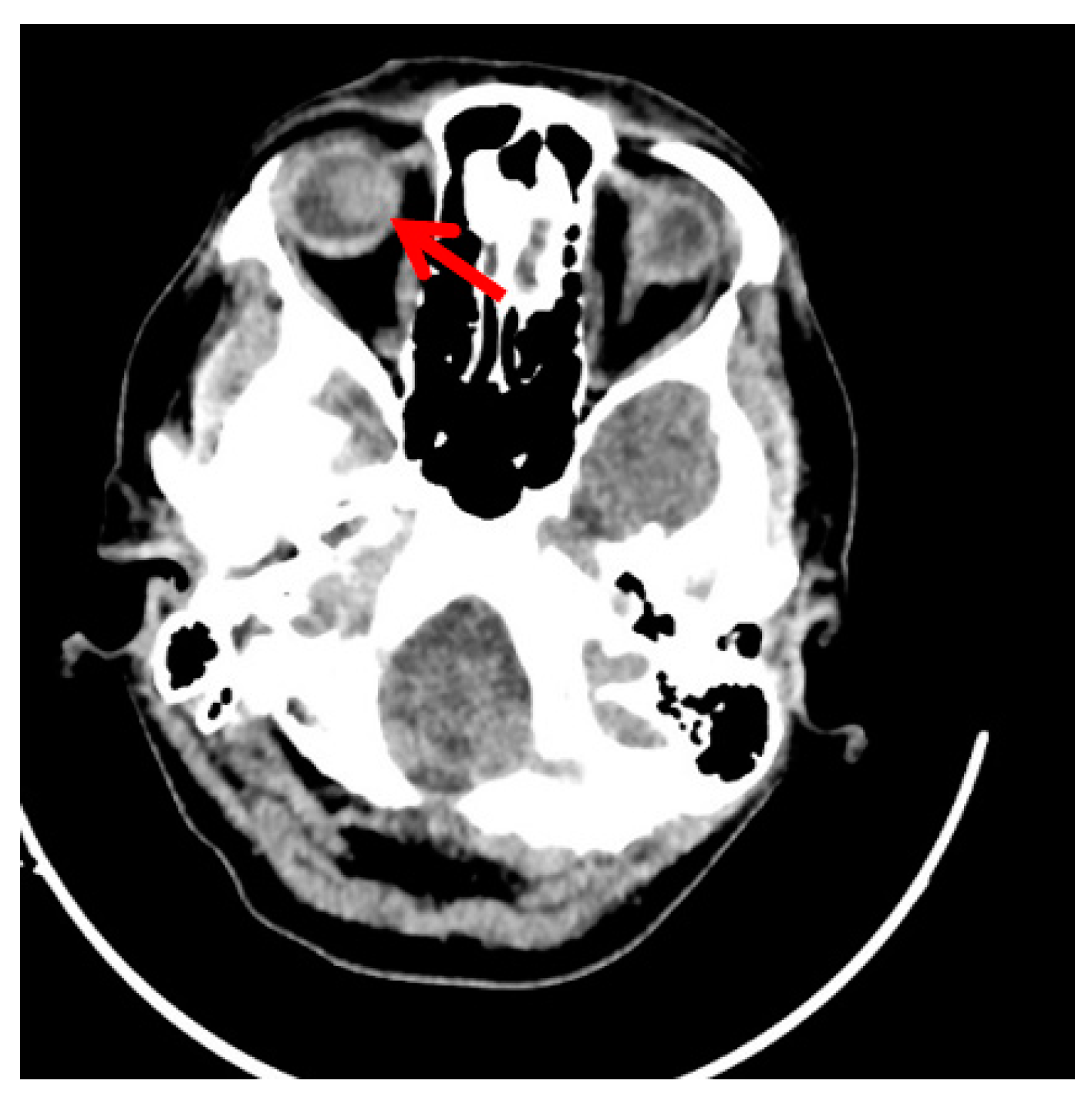 Cosmetics 10 00165 g003