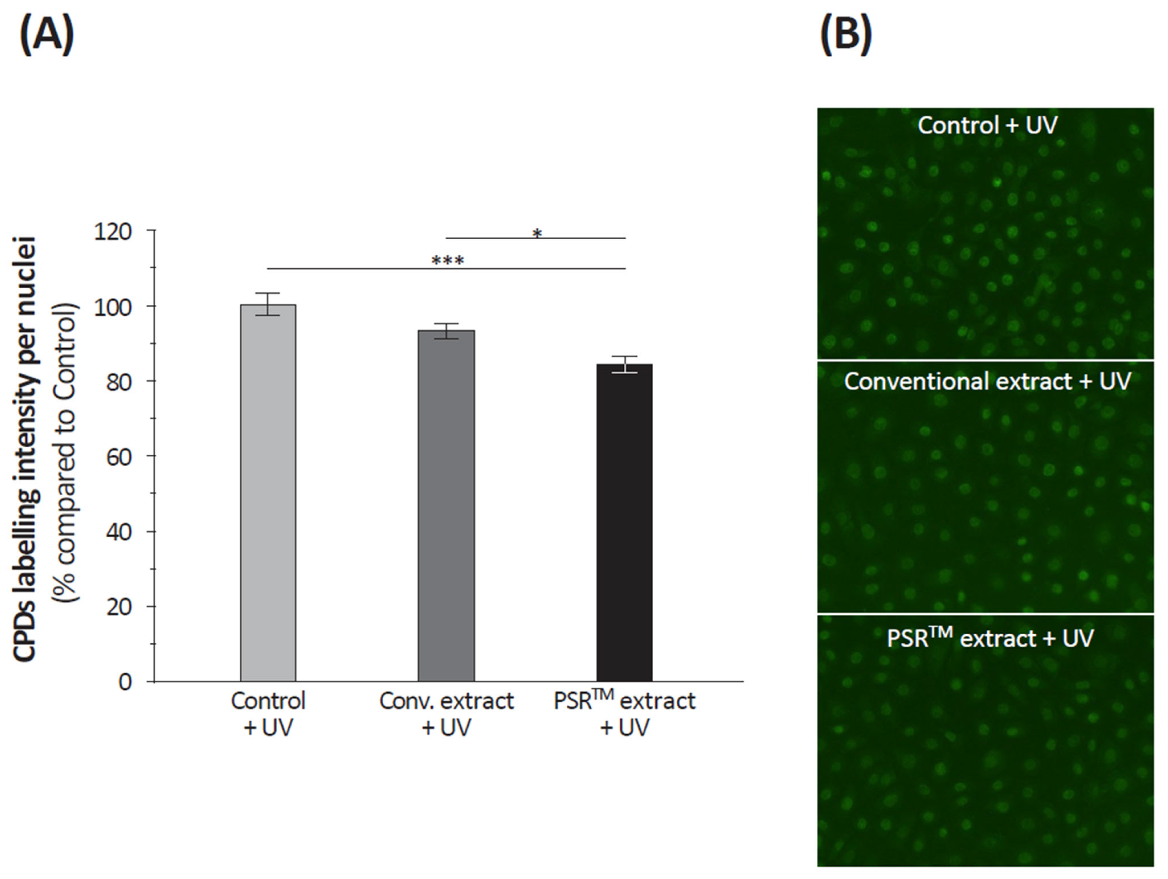 Cosmetics 10 00172 g005