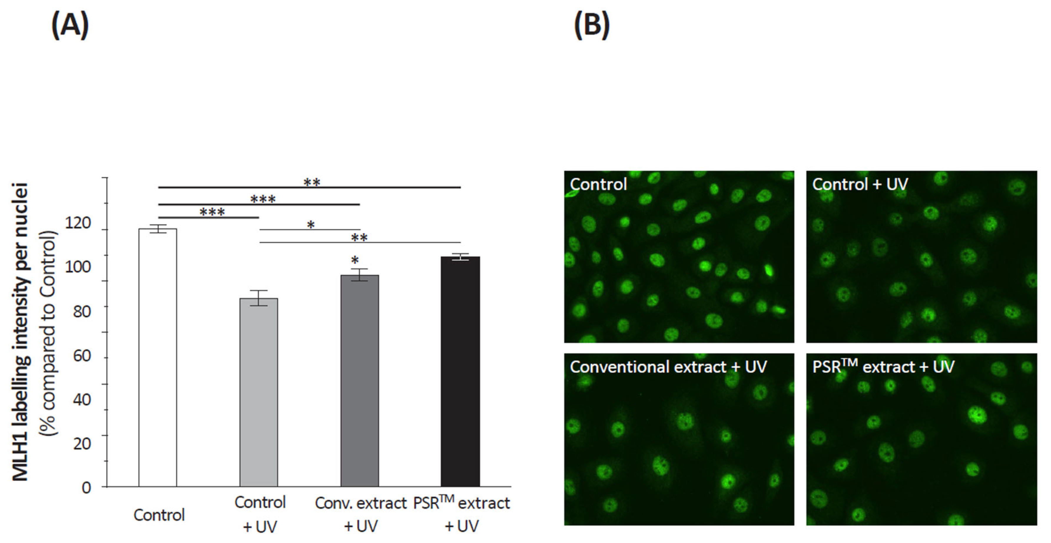 Cosmetics 10 00172 g006