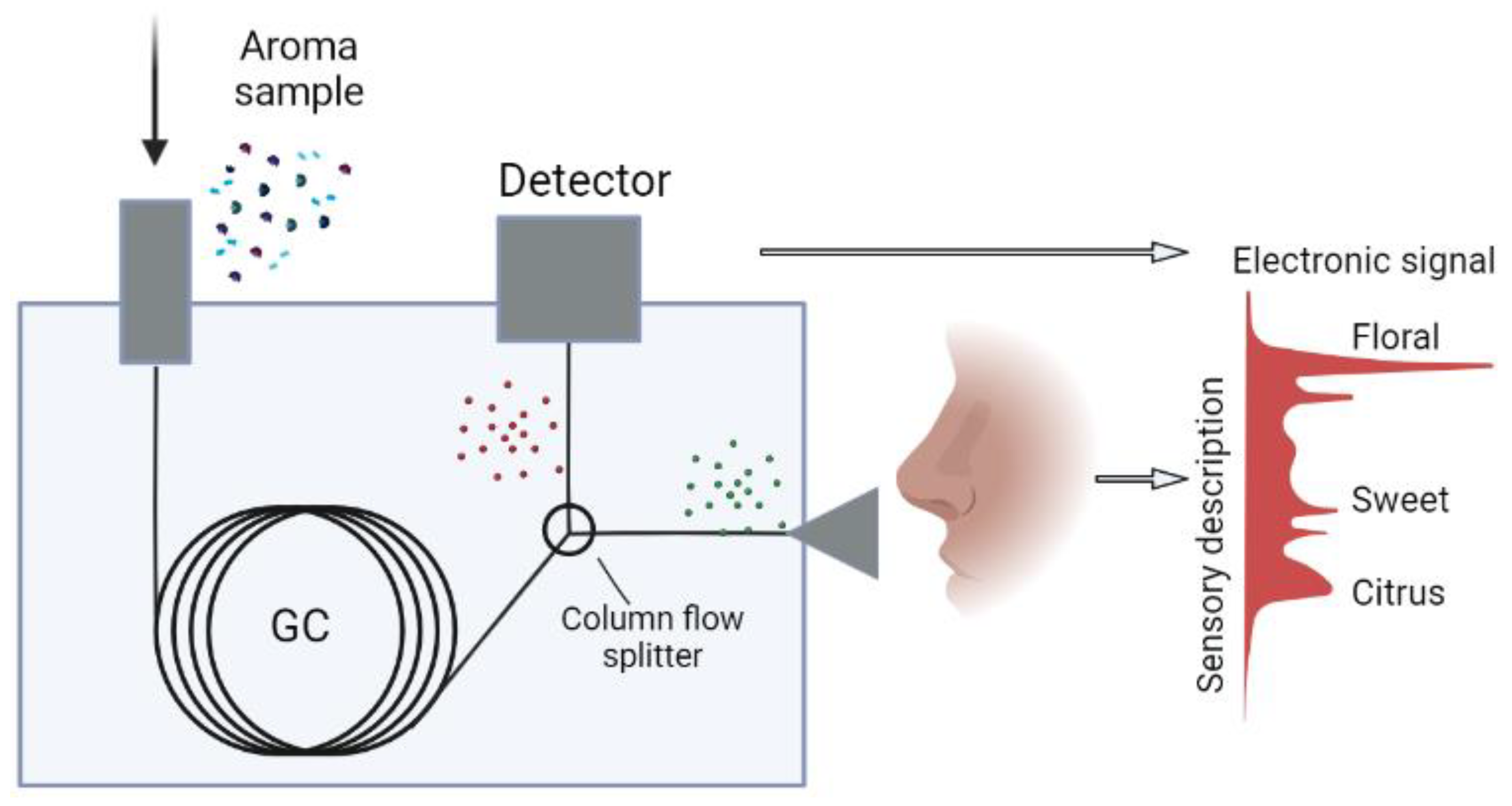 Cosmetics 11 00001 g004