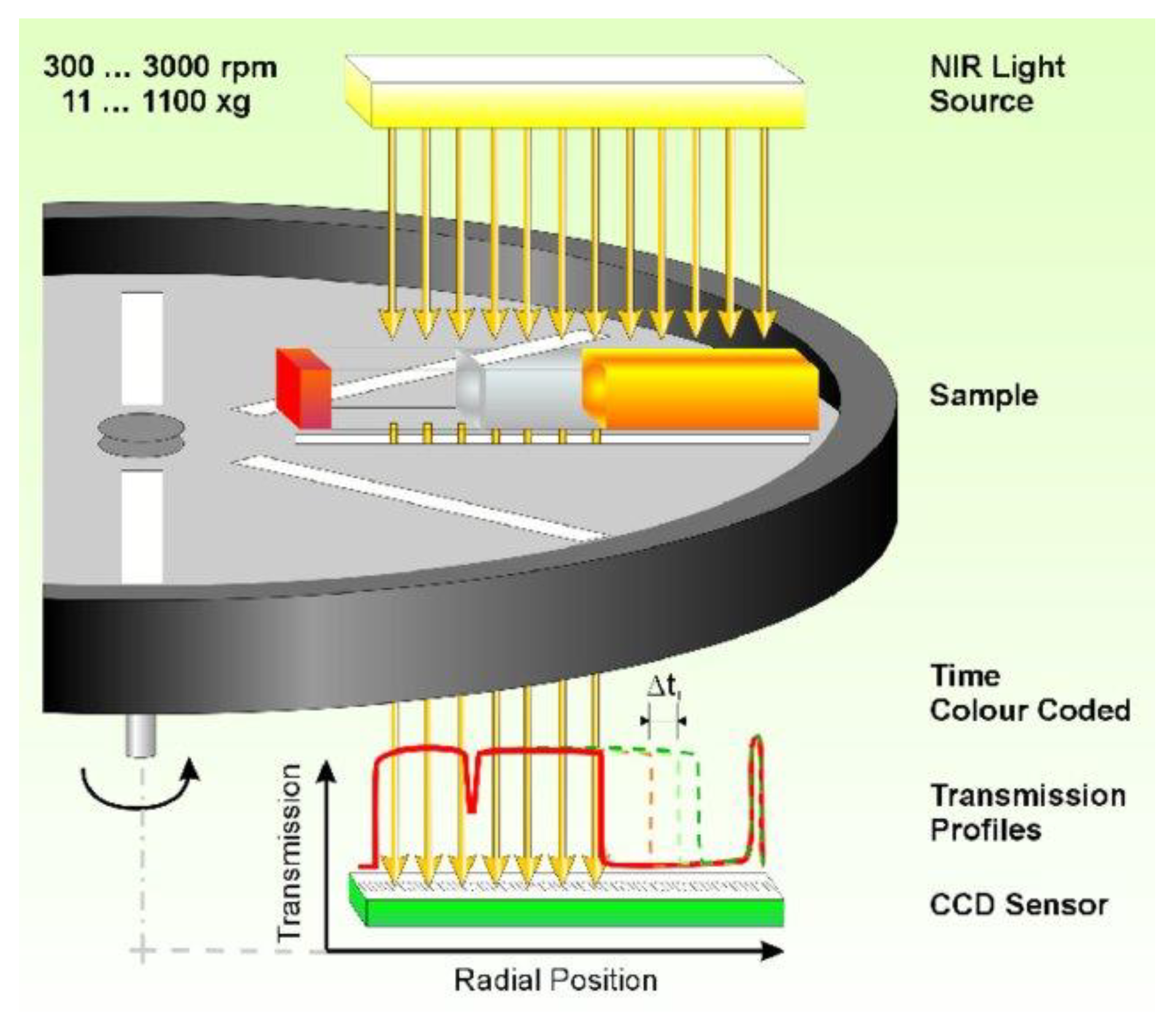 Cosmetics 11 00001 g009