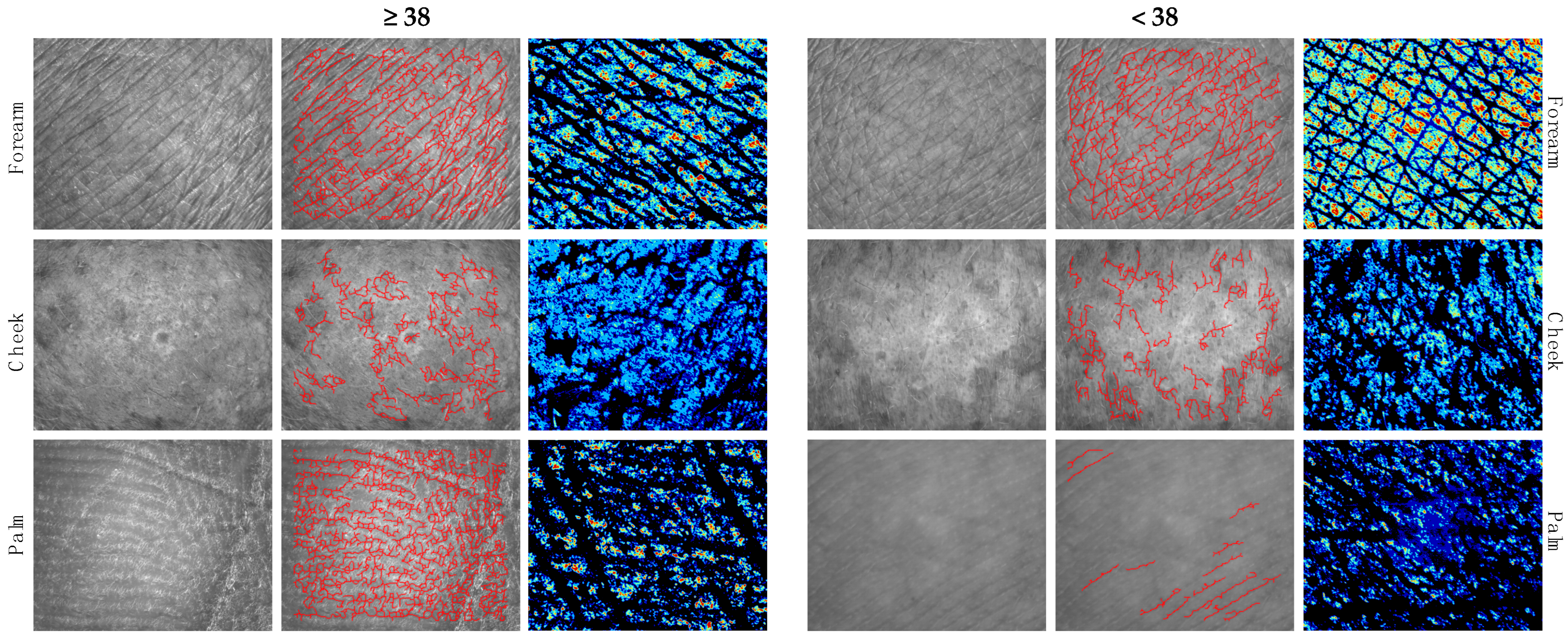 Cosmetics 11 00005 g002