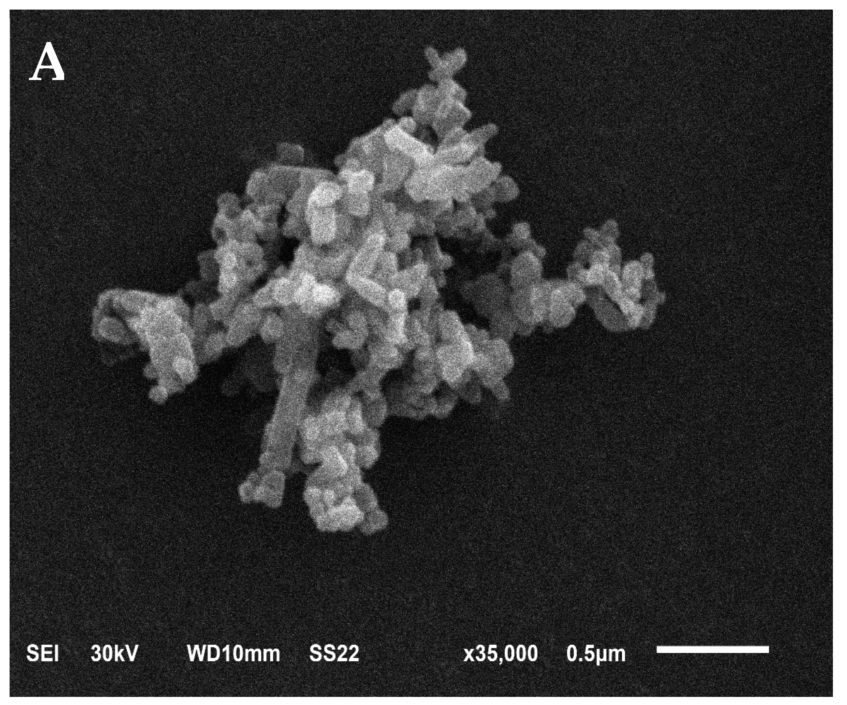 Cosmetics 11 00006 g001a