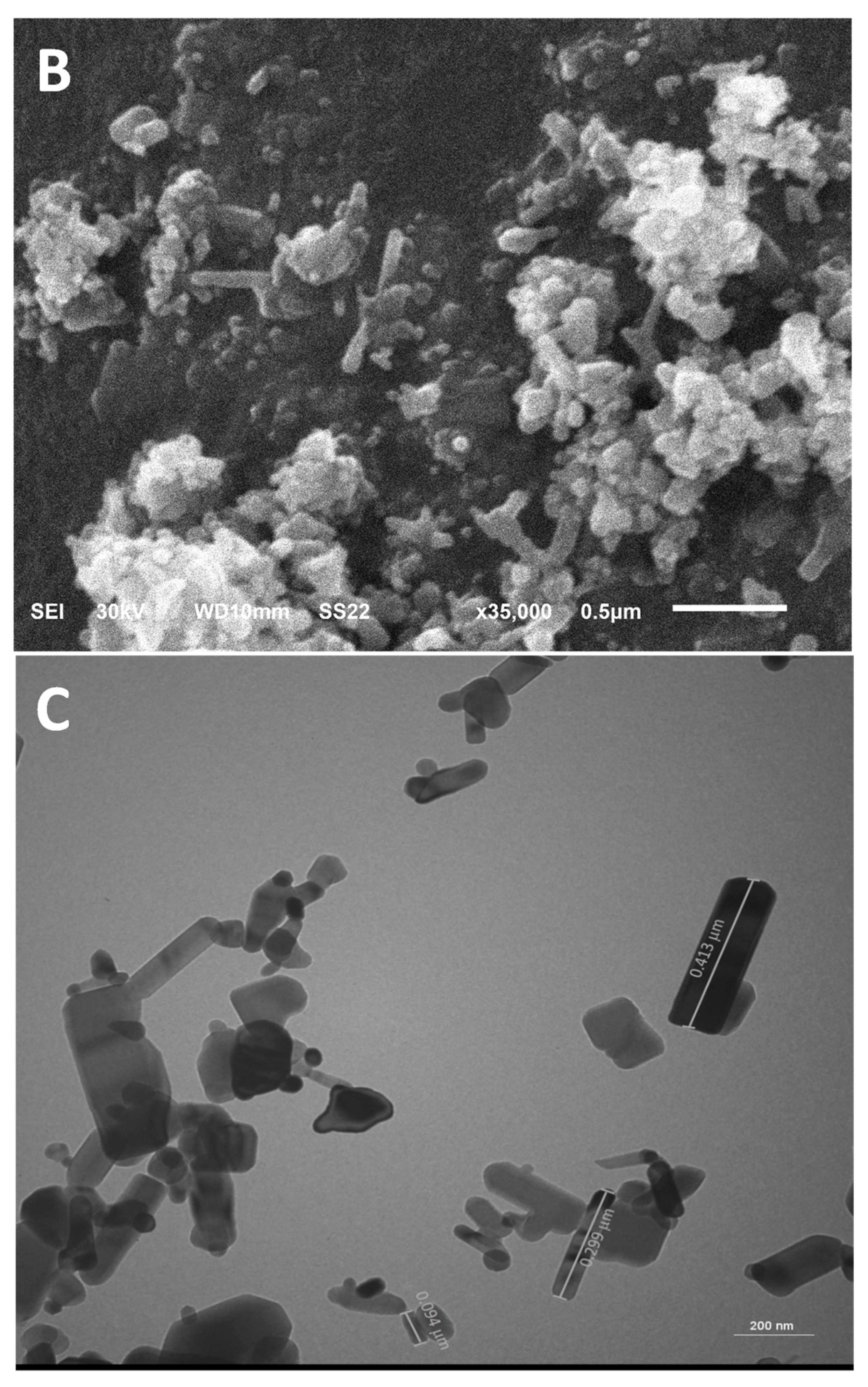 Cosmetics 11 00006 g001b