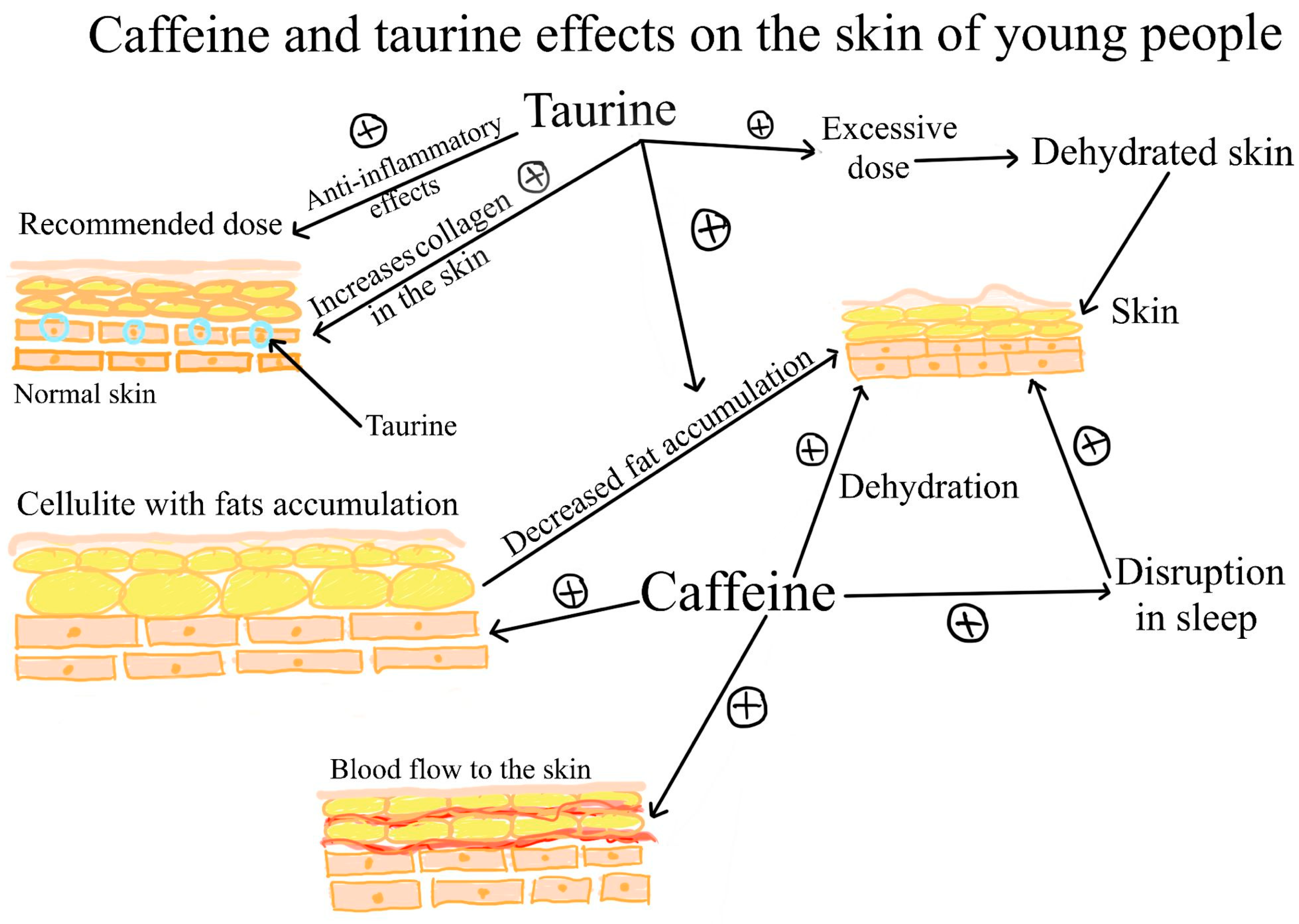 Taurine dosage hotsell