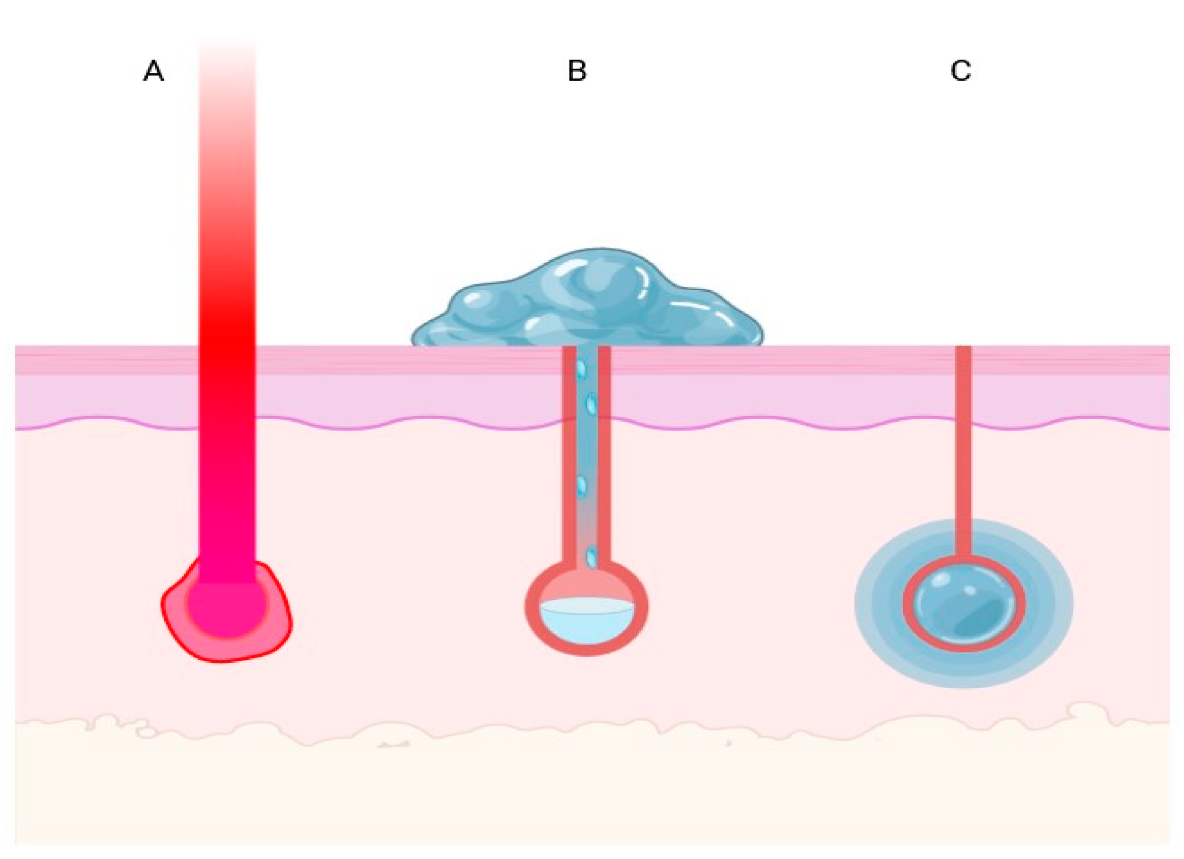 Cosmetics 11 00014 g002