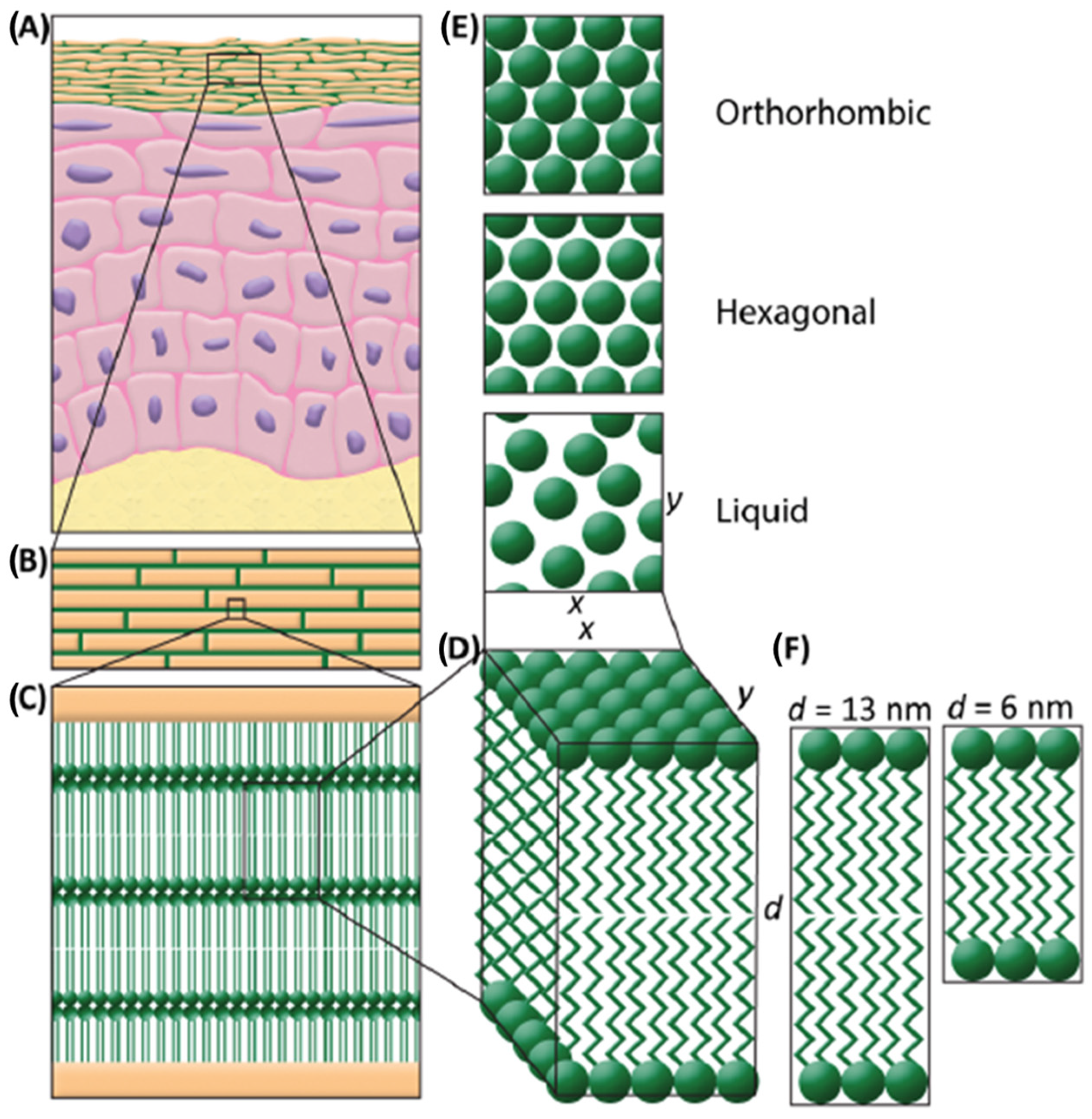 Cosmetics 11 00020 g001