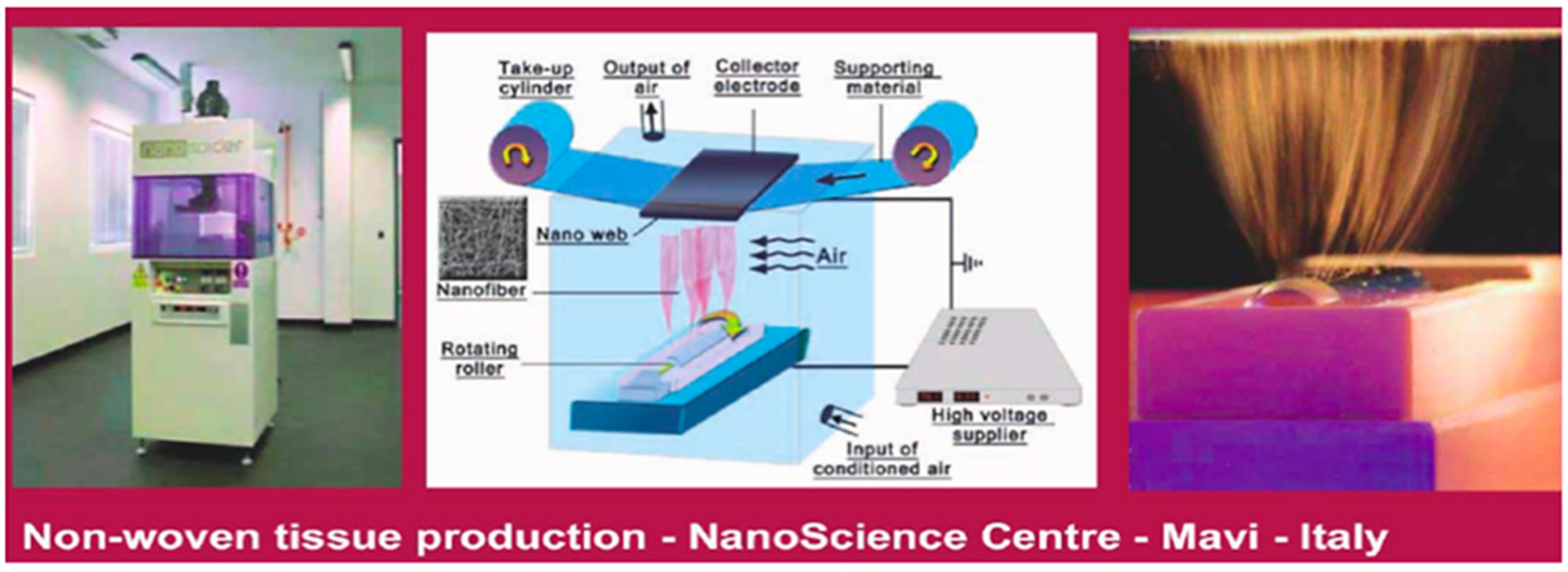 Cosmetics 11 00020 g006