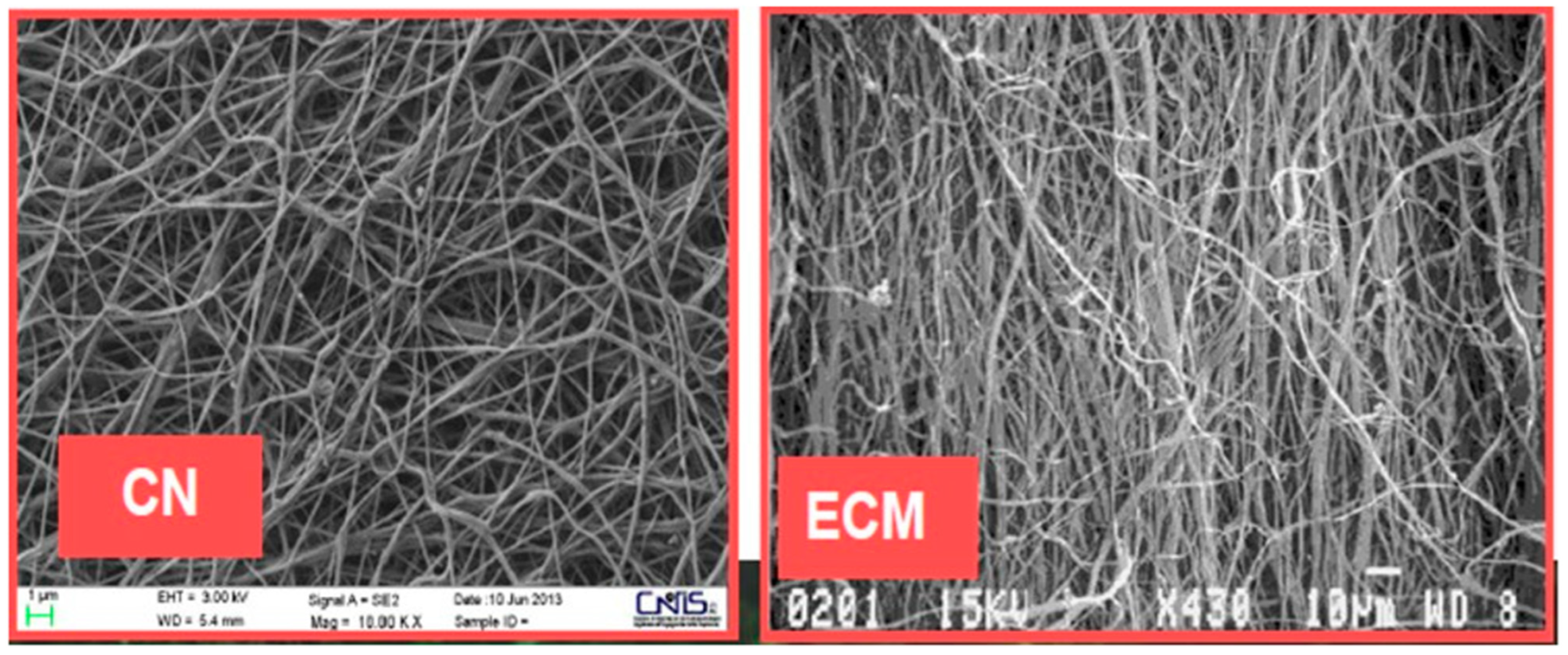 Cosmetics 11 00020 g007