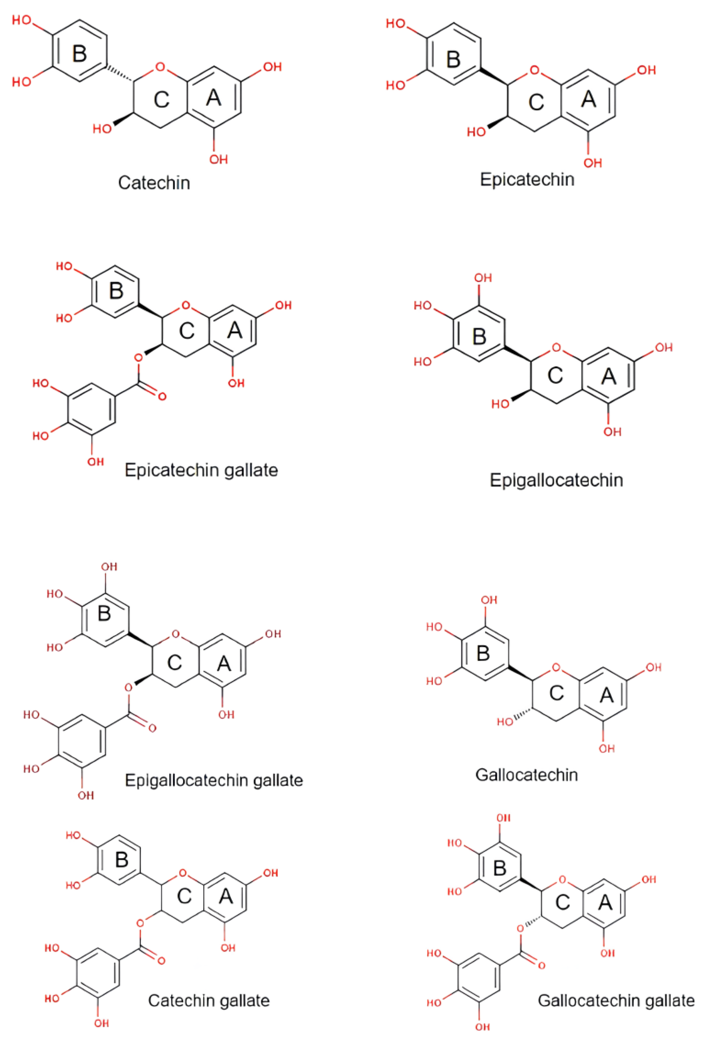Cosmetics 11 00023 g001
