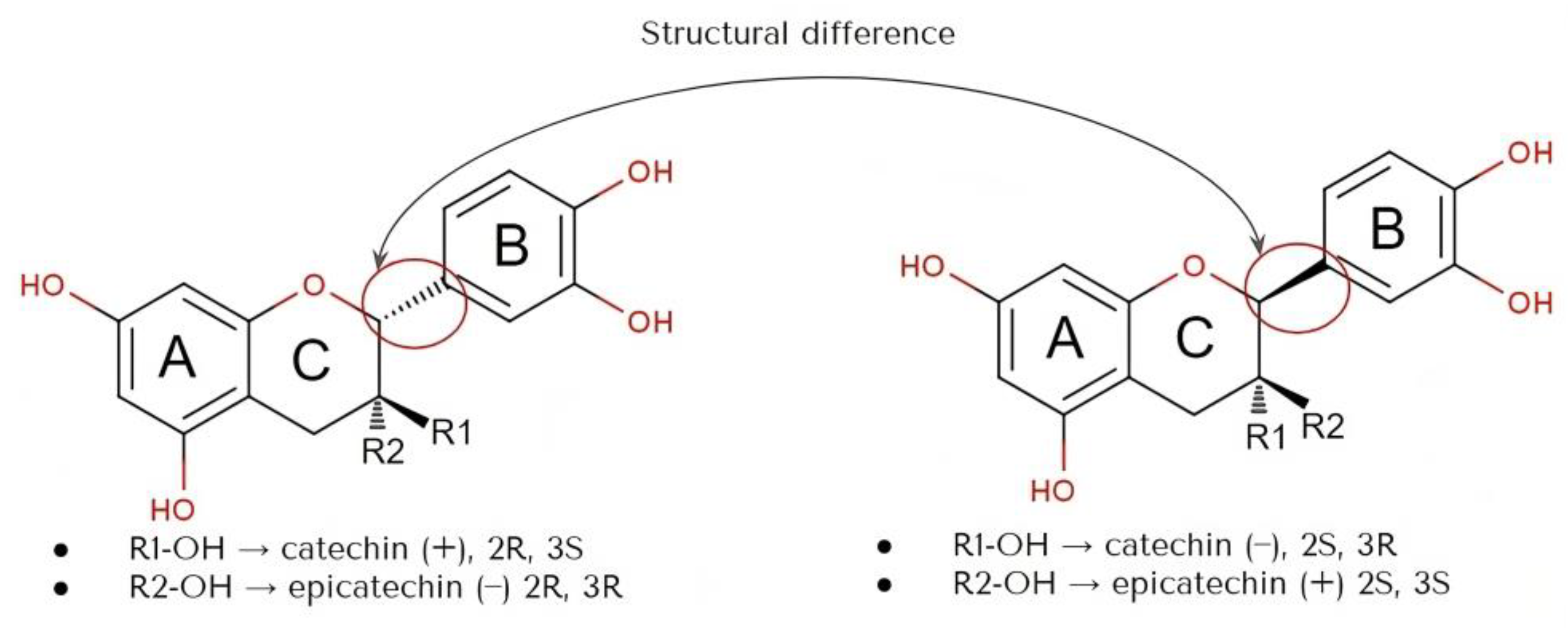 Cosmetics 11 00023 g003