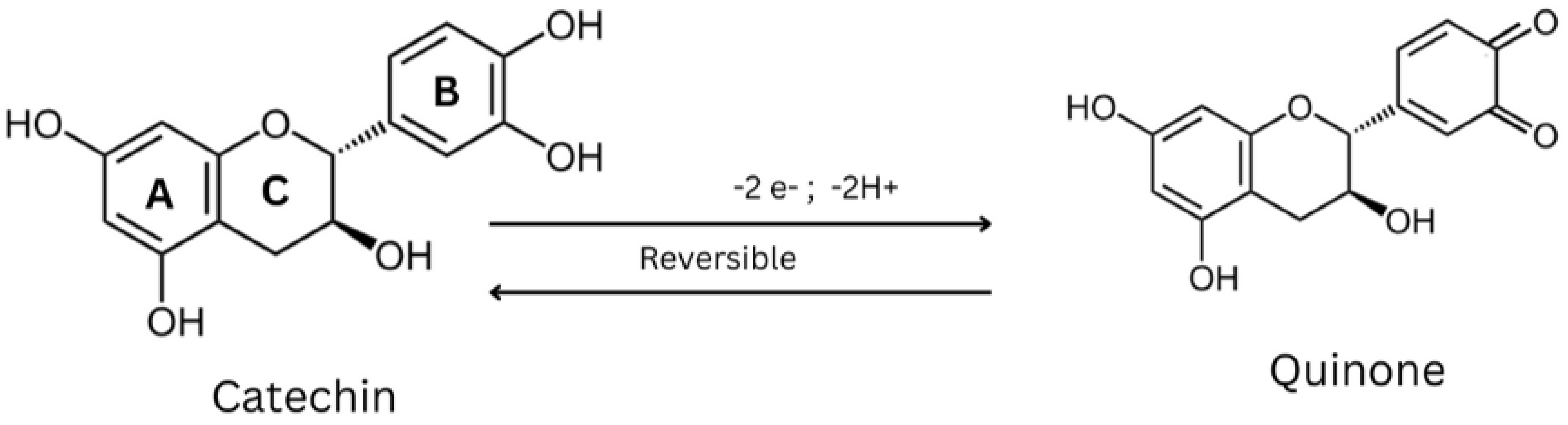 Cosmetics 11 00023 g004